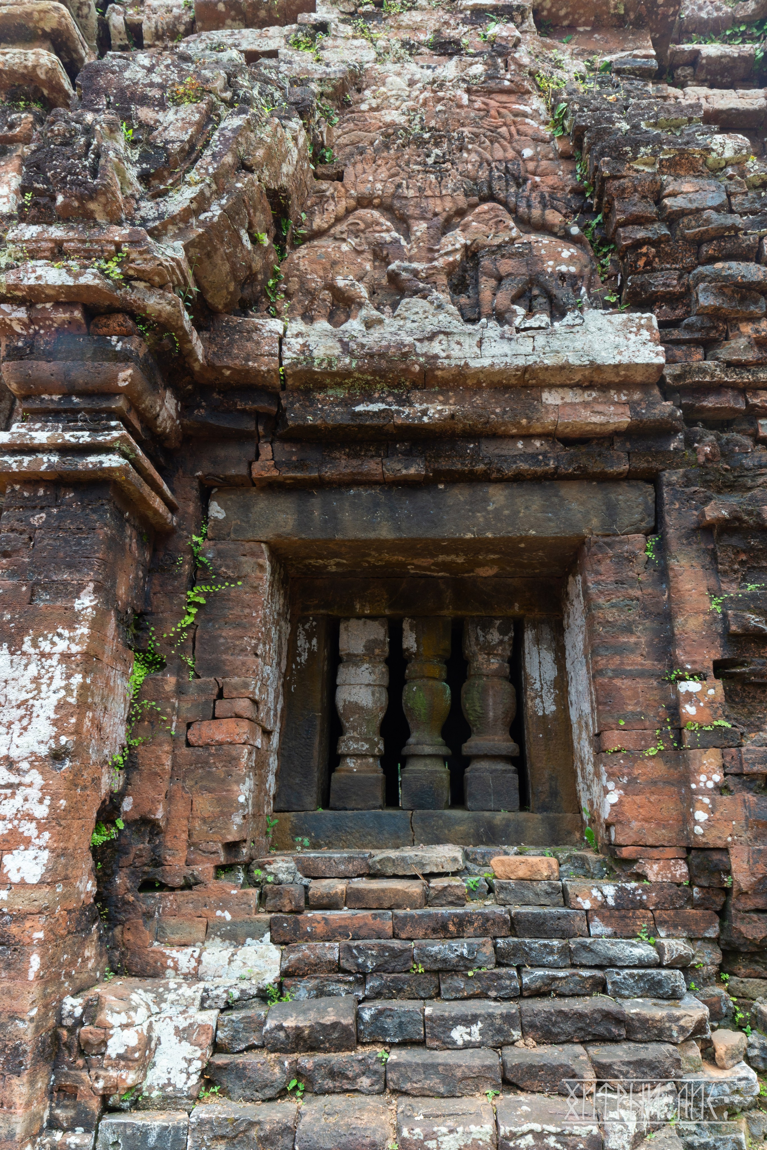 Вьетнам. Фотограф-путешественник Самойлов Максим «Sly Fox»