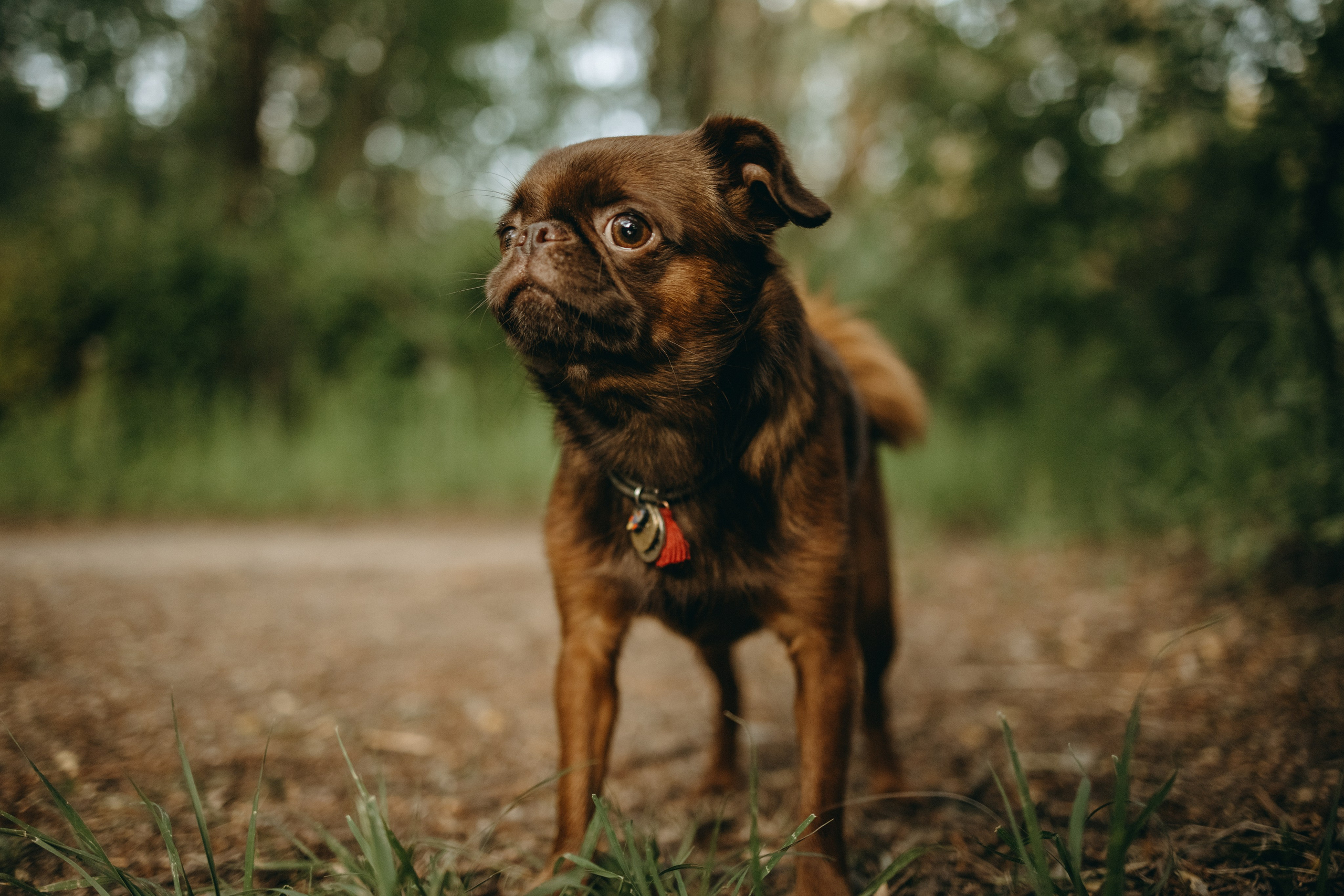 Екатерина и Лёня. Фотограф — Анималист | Санкт-Петербург
