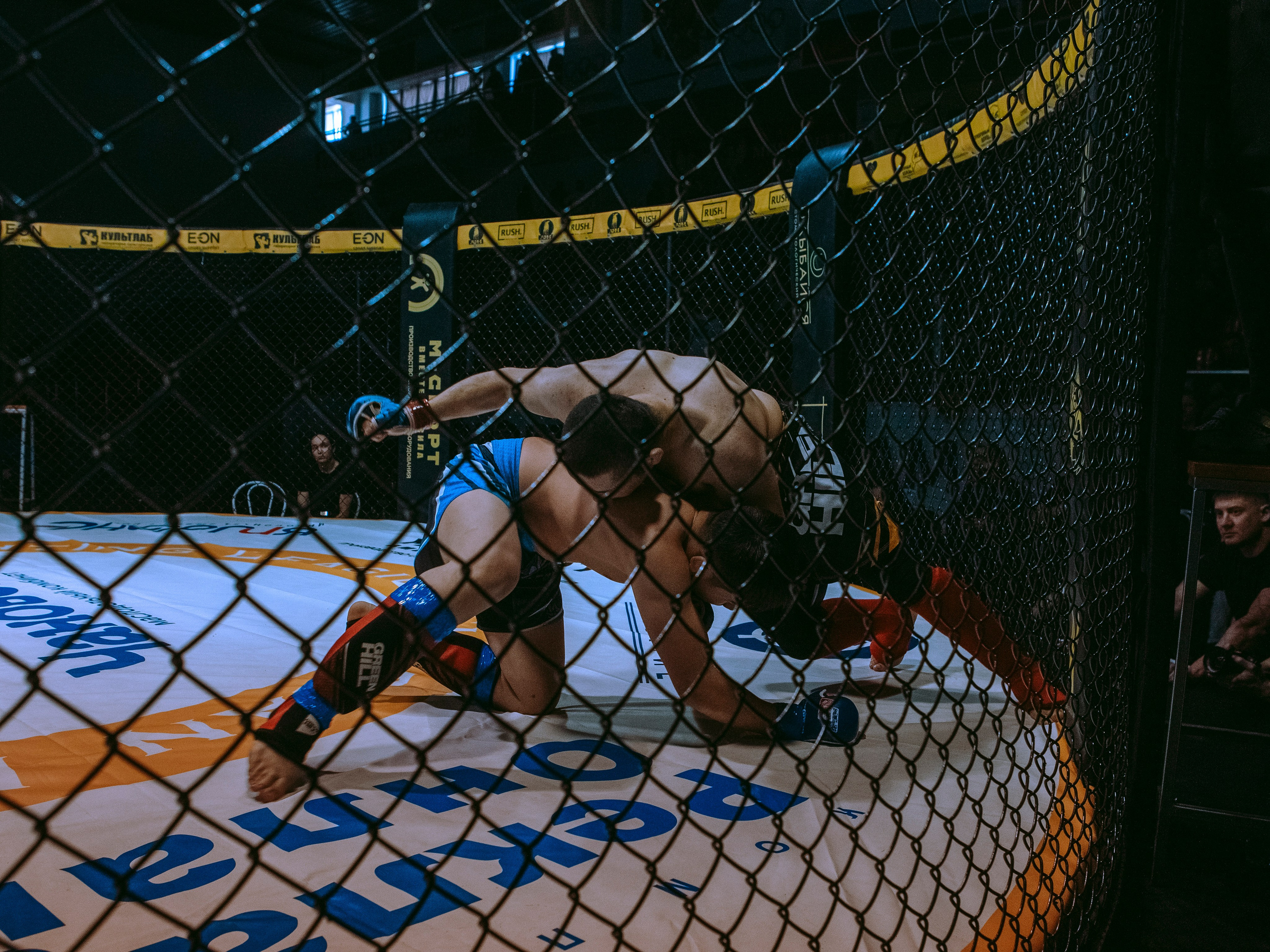 SFL 17 | Siberian Fighting League. Портретный фотограф в Москве Дарья Цезария