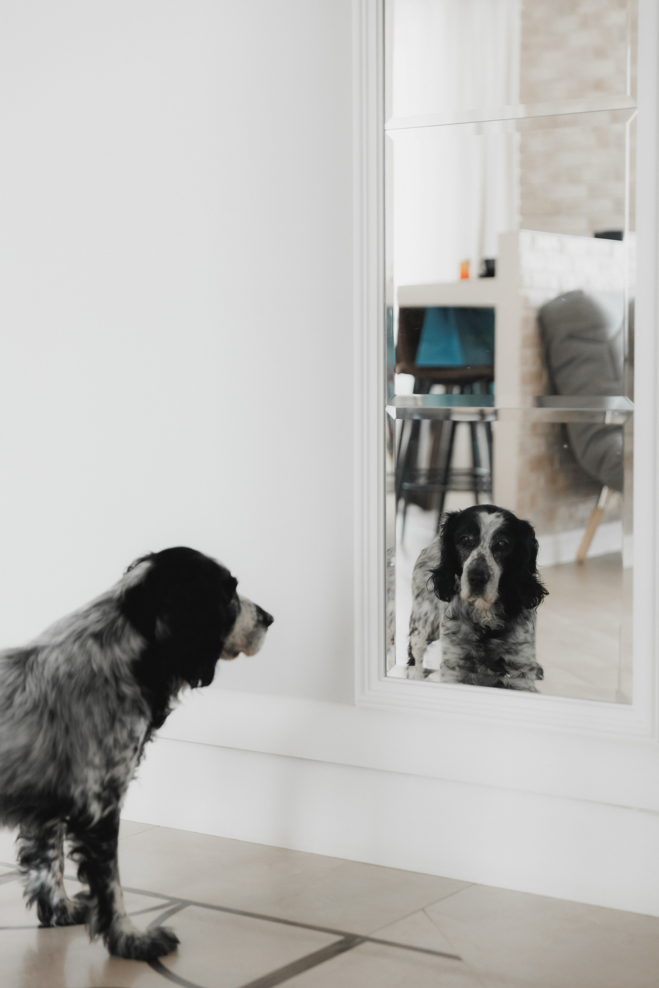 Девочки. Фотограф в Волгограде — Александра Искандерова