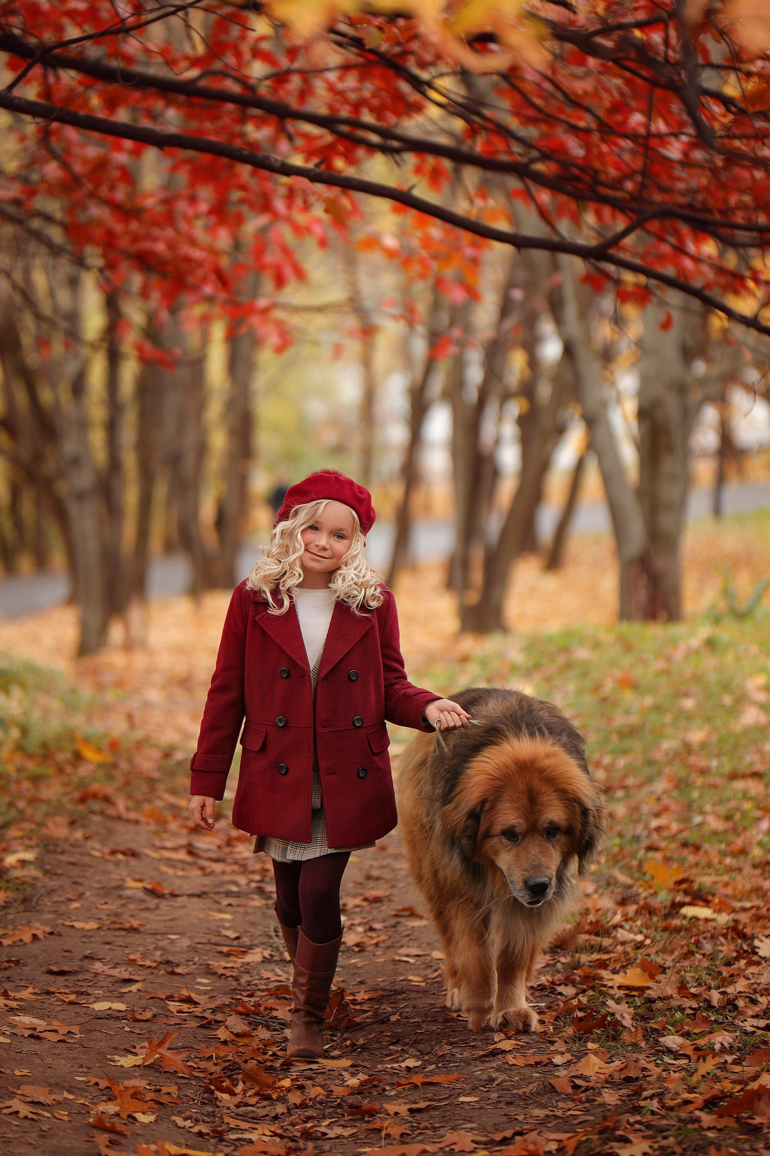 Парк Коломенское с Мастифами. Детский и семейный фотограф г. Москва Оксана Катаджи