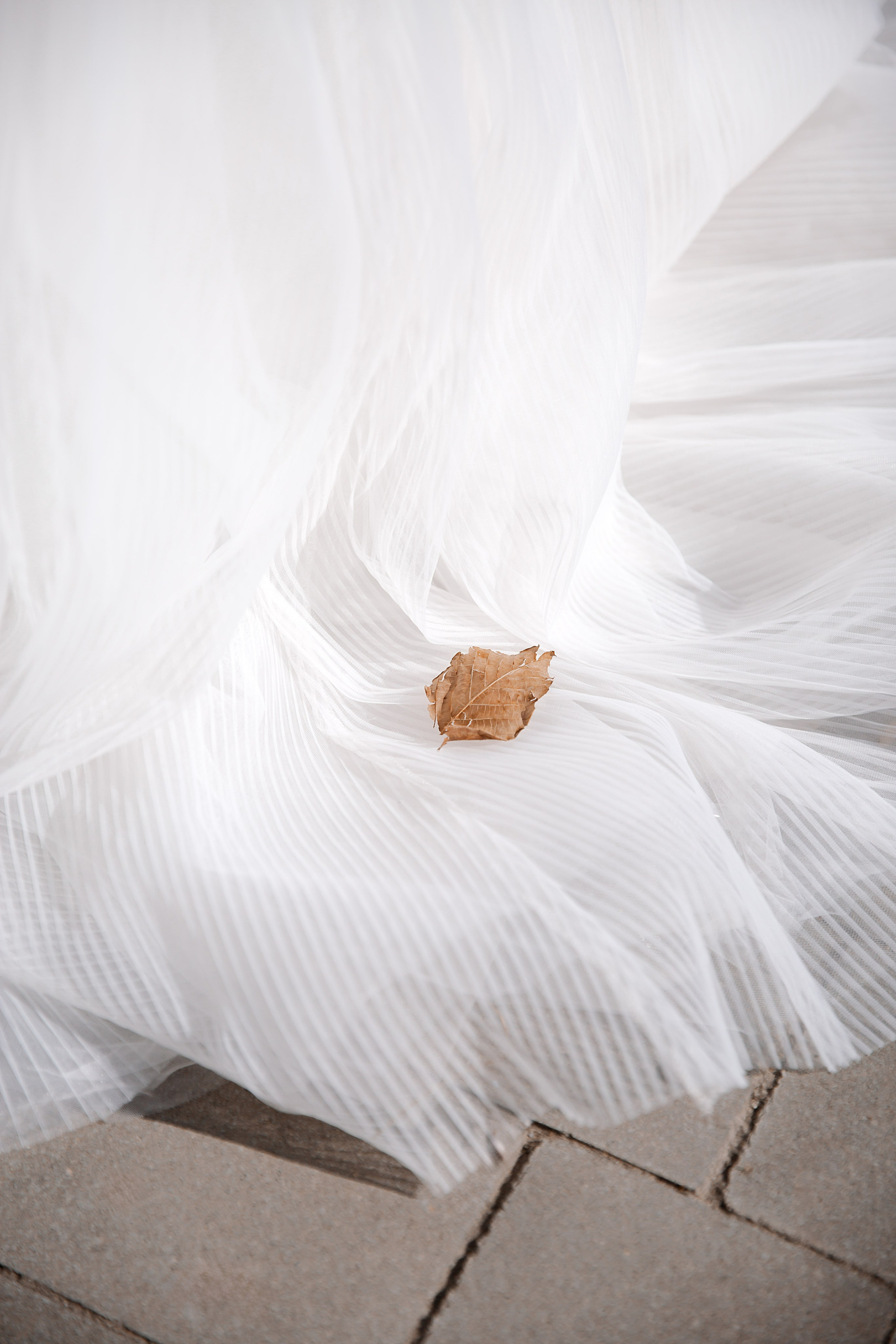 Фотосъемка свадьбы в Волгодонске