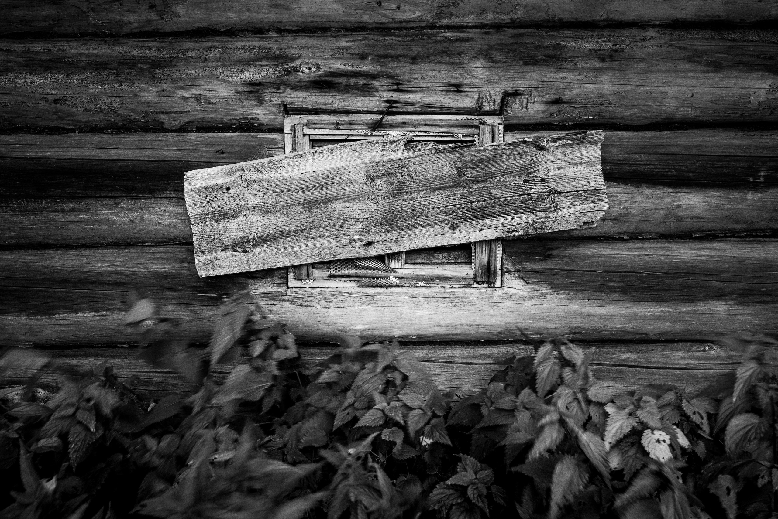 Деревня / Север I. Фотограф Антон Денисенко: Портрет, Документалистика, Пейзаж. Москва