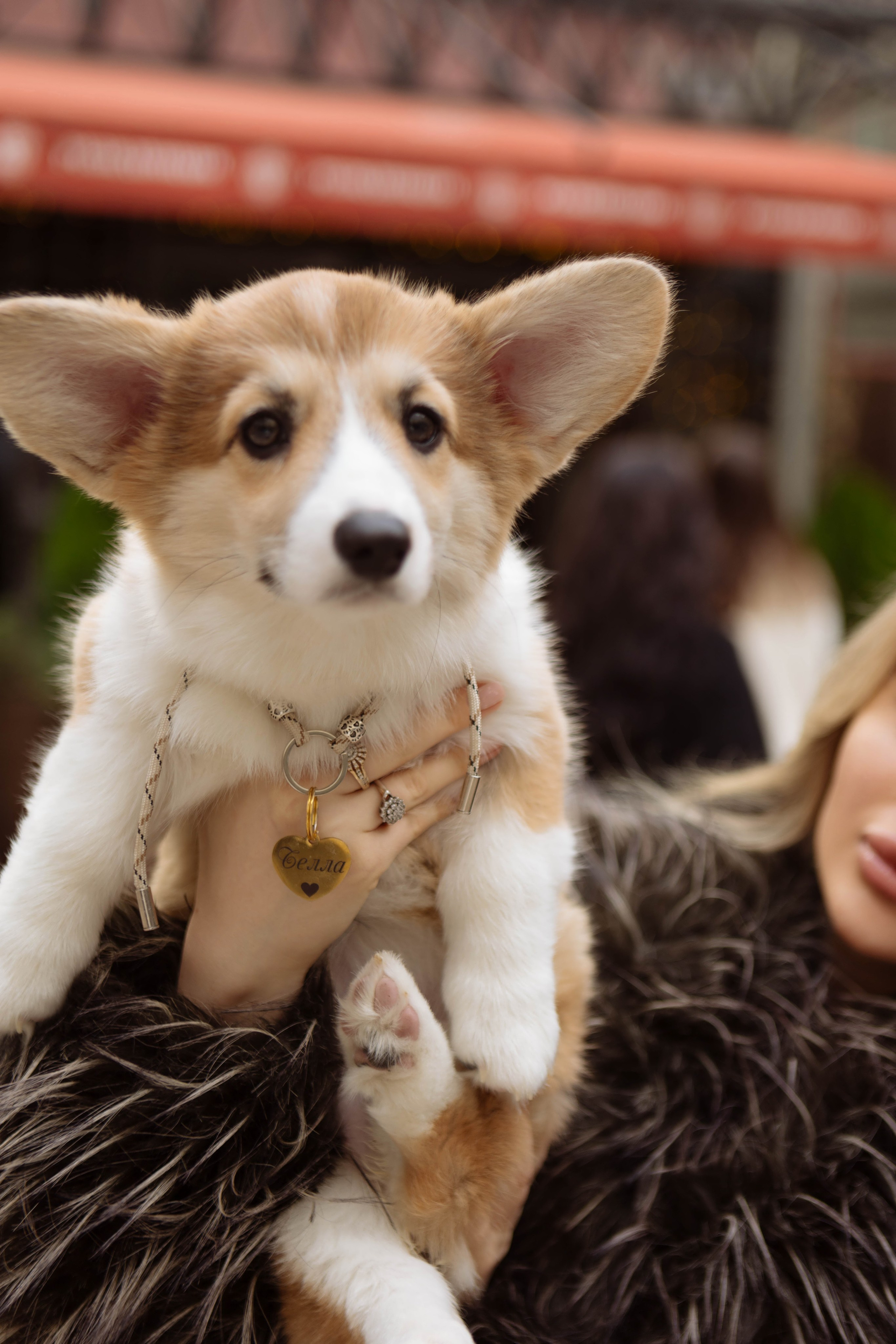 Новогодний девичник. Свадебный фотограф в Ростове-на-Дону Виктория Трунова