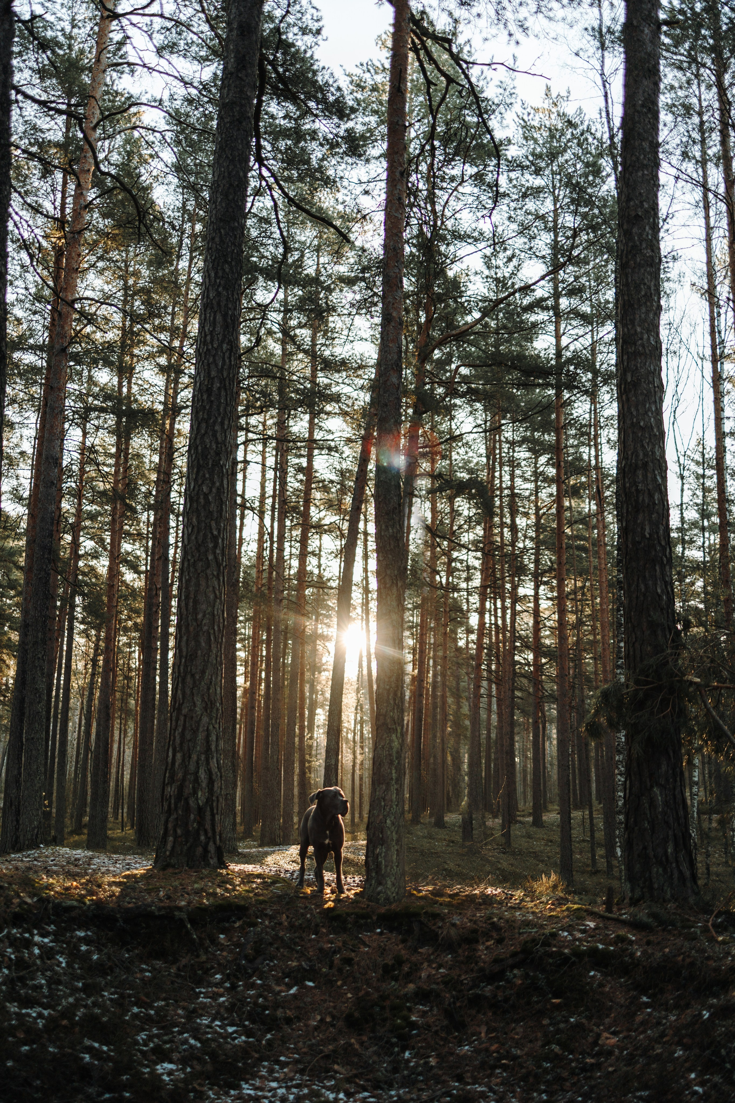 Анна и Лана. Фотограф — Анималист | Санкт-Петербург