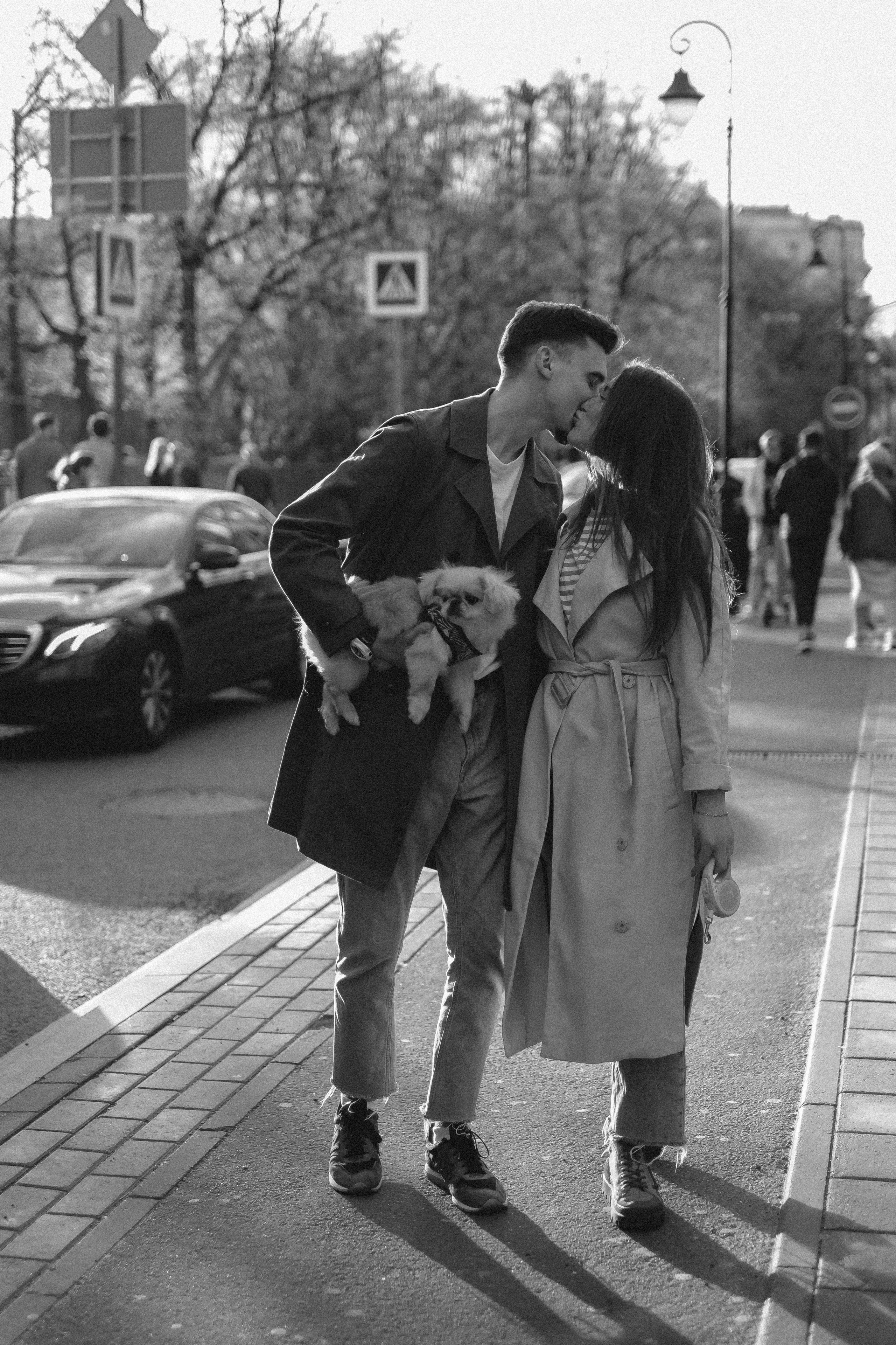 Пекинес. Свадебный и портретный фотограф в Москве, Туле и Брянске Дара Евсеева