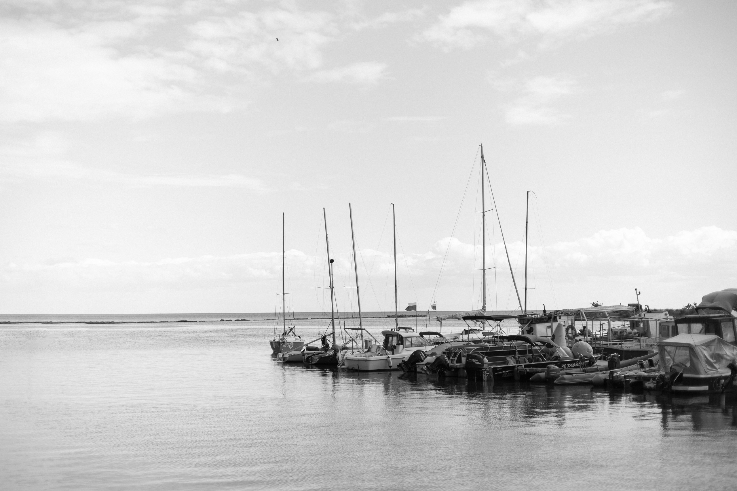 Дмитрий и Елизавета. Анастасия Безуглова- свадебный фотограф в Таганроге