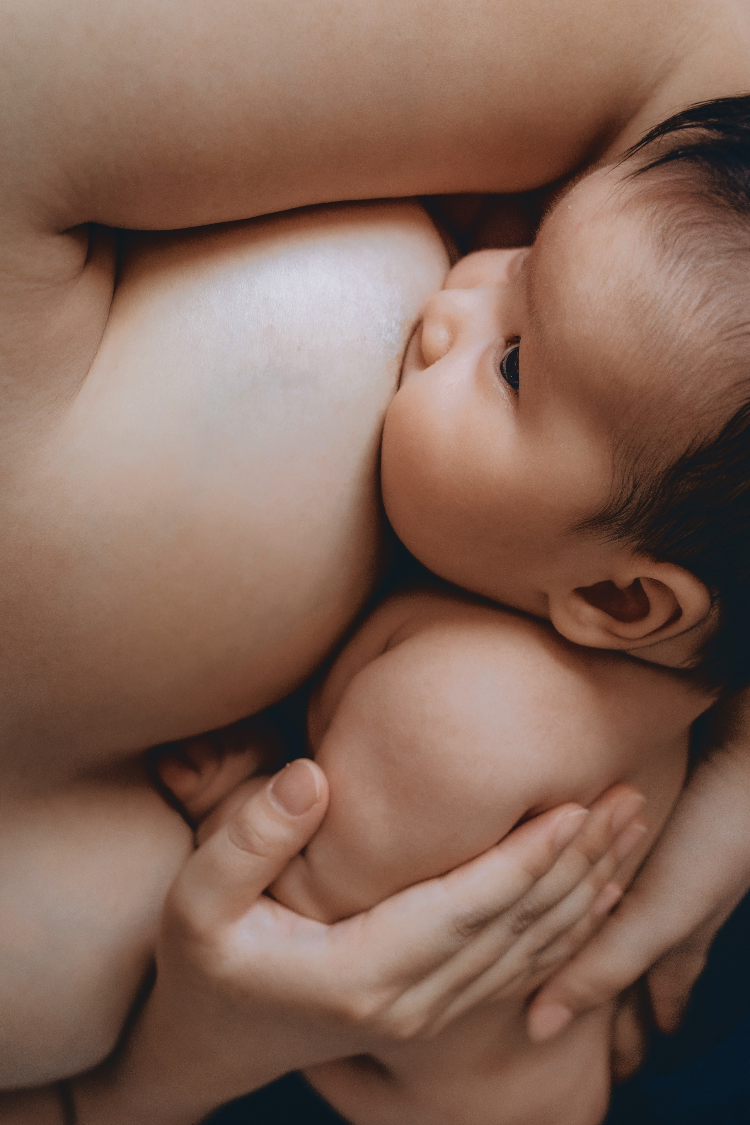 Séance nouveau-né. Photographe des familles et enfants à Nantes et alentours