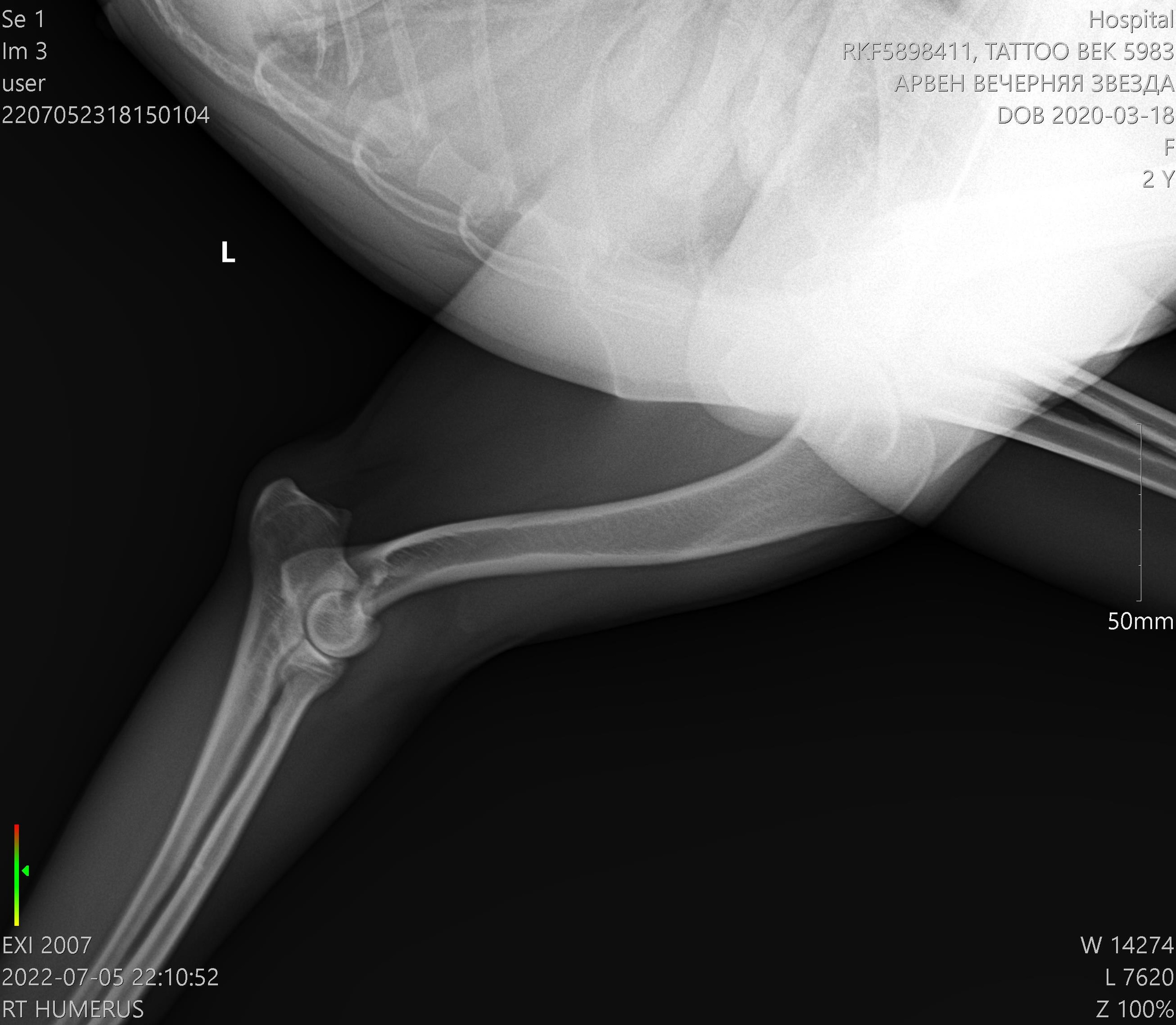 Здоровье. Главная