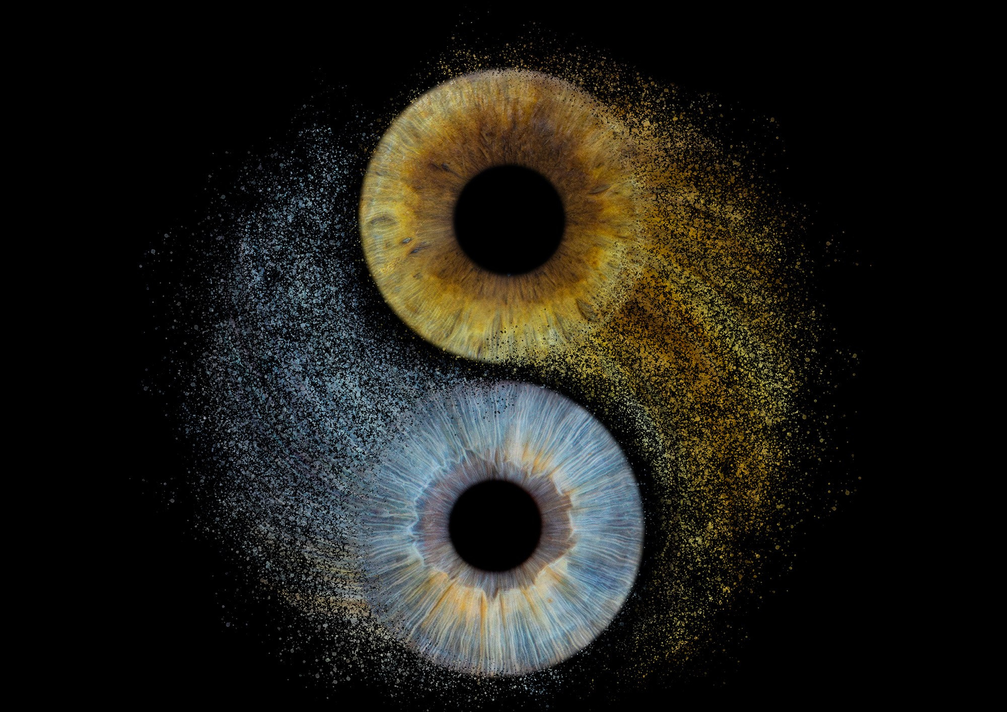 Примеры фото. Фото радужки глаза LOOK IN