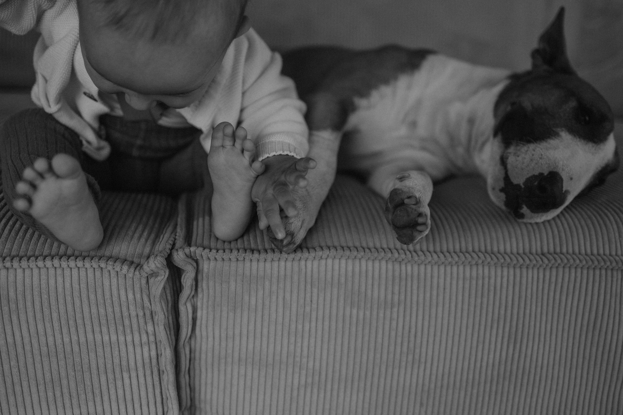 Семейная. Фотораф — анималист Мария Шистка