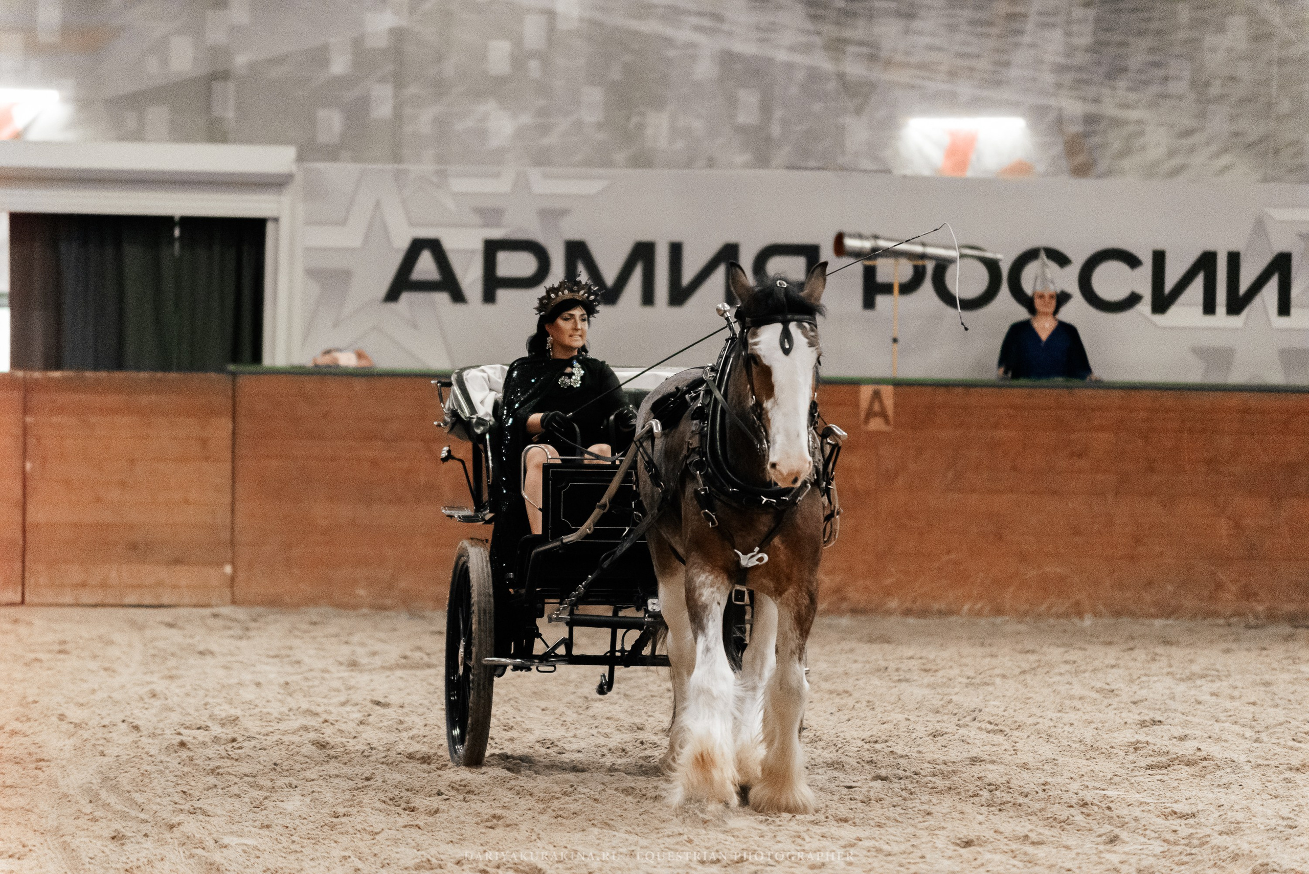 Конное представление «Дыхание Звёзд». Конный фотограф Куракина Дарья • Фотосессии с лошадьми