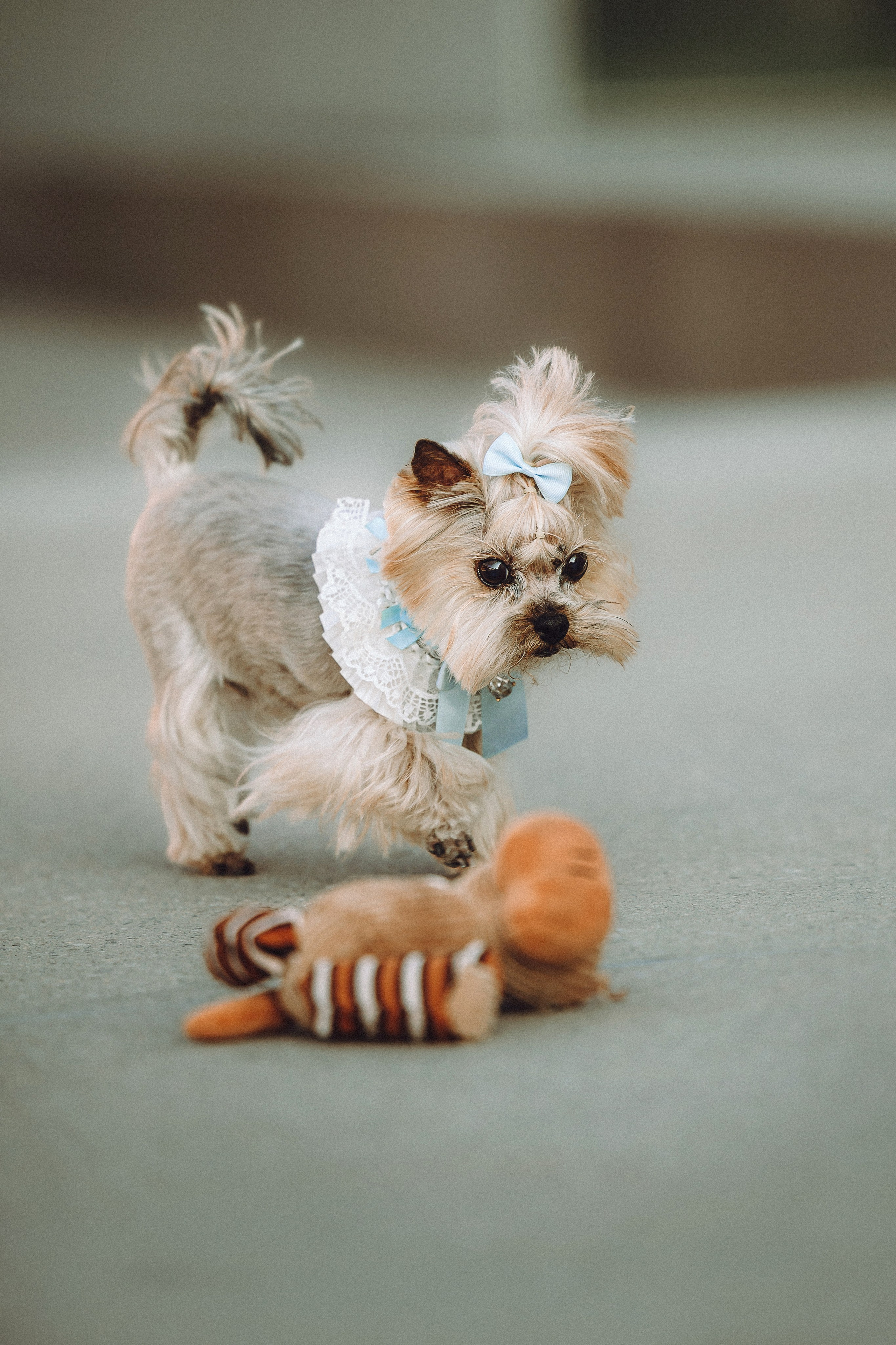 Дженни, Оливия и их семья