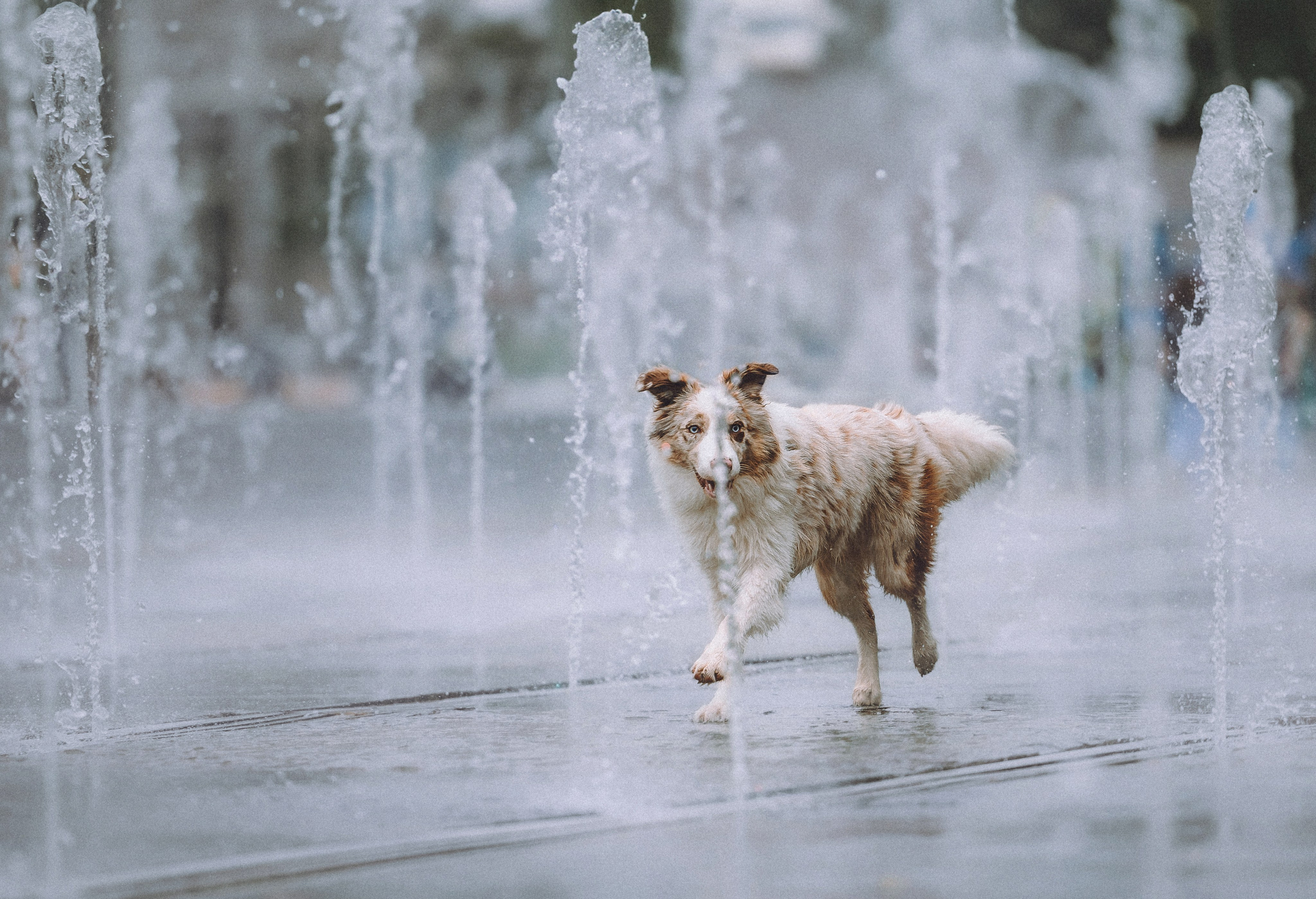 Один и его семья