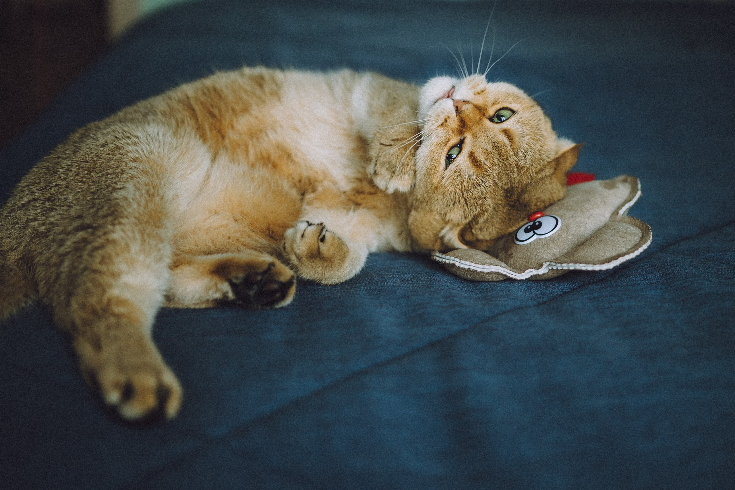 Генри и его семья