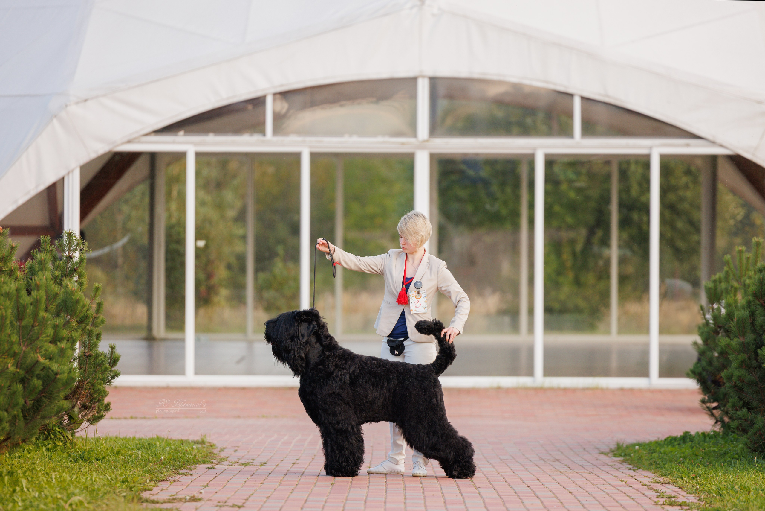 Переславль 5-7.08.2025. Фотограф-анималист Юлия Германика