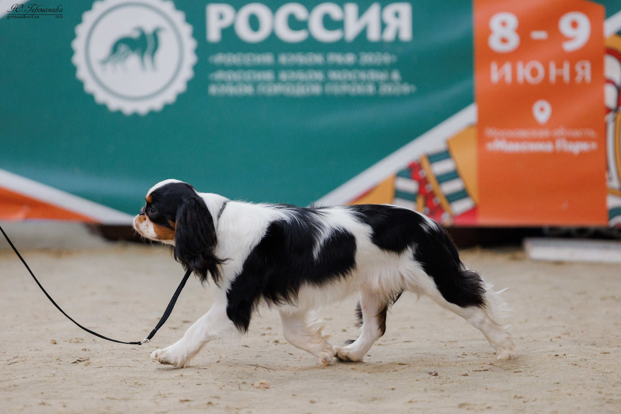 РОССИЯ 8-9.06.2024. Фотограф-анималист Юлия Германика