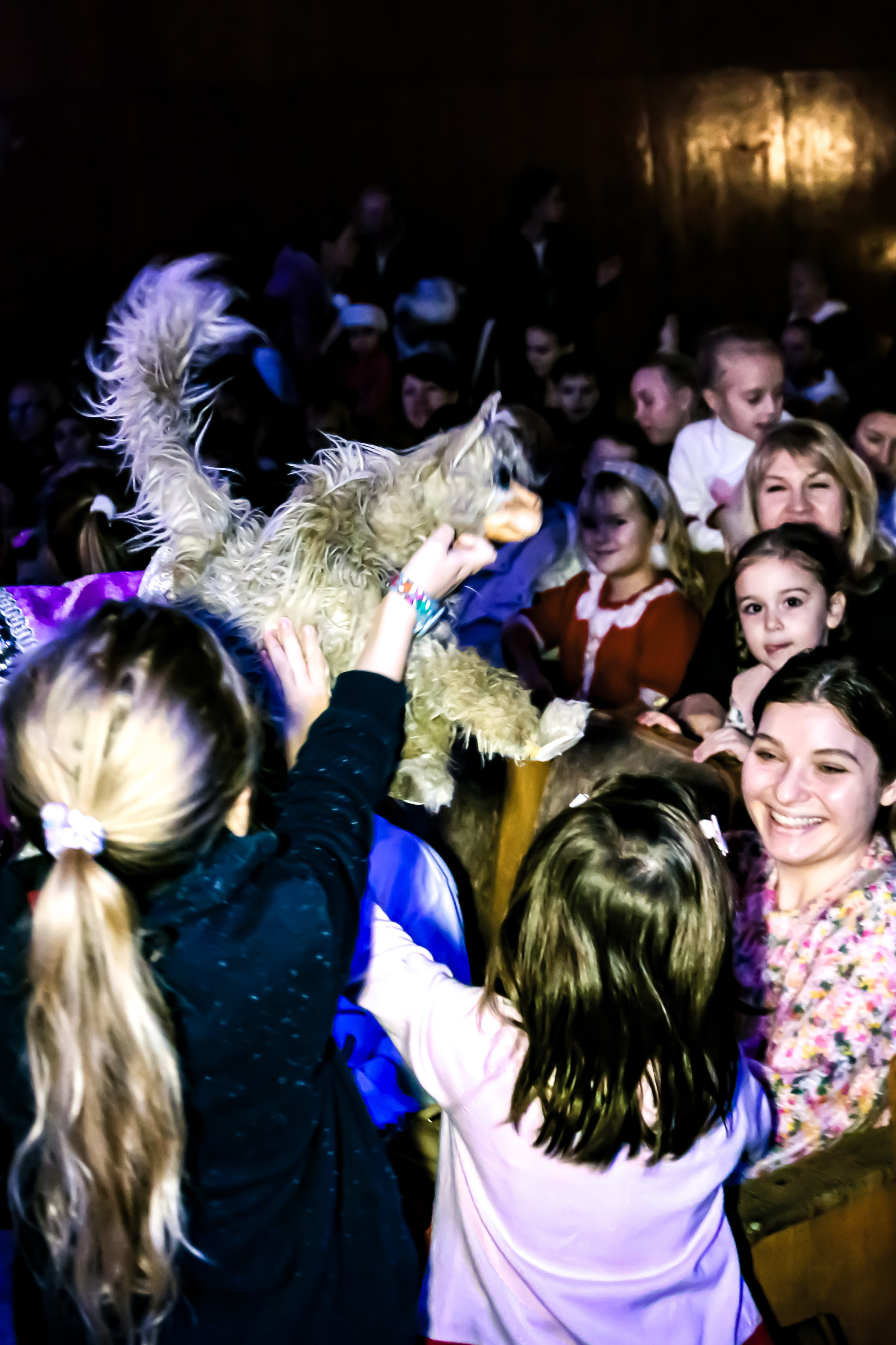 Щелкунчик и мышынный король. Фотограф в Сочи Юрий Шептаев