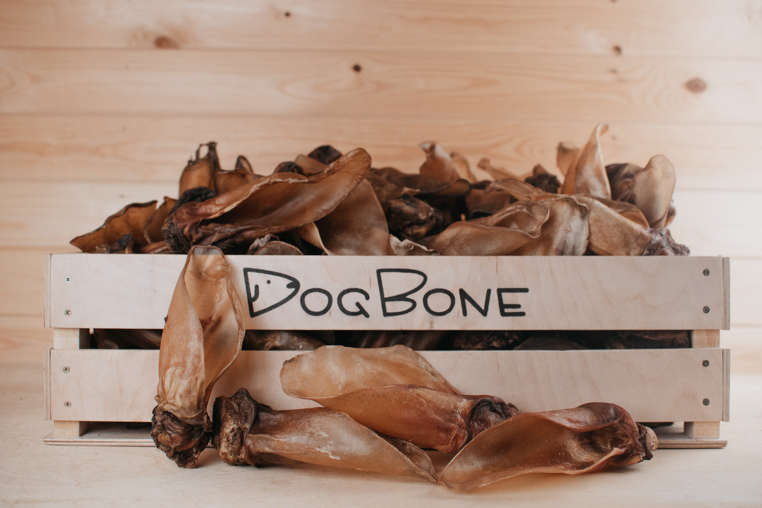 Dog Bone лакомства. Фотограф-анималист Валерия, Москва, Мытищи
