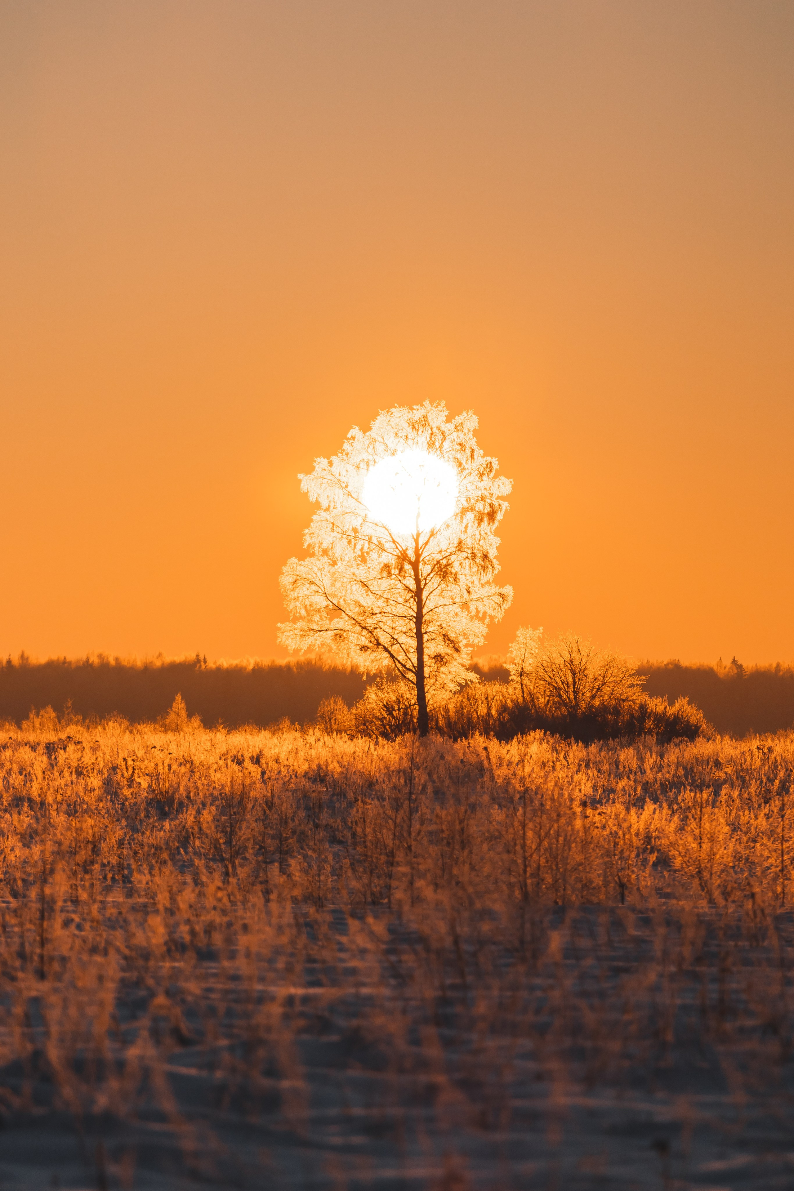 ПРИРОДА. Фотограф Александр Бормотин