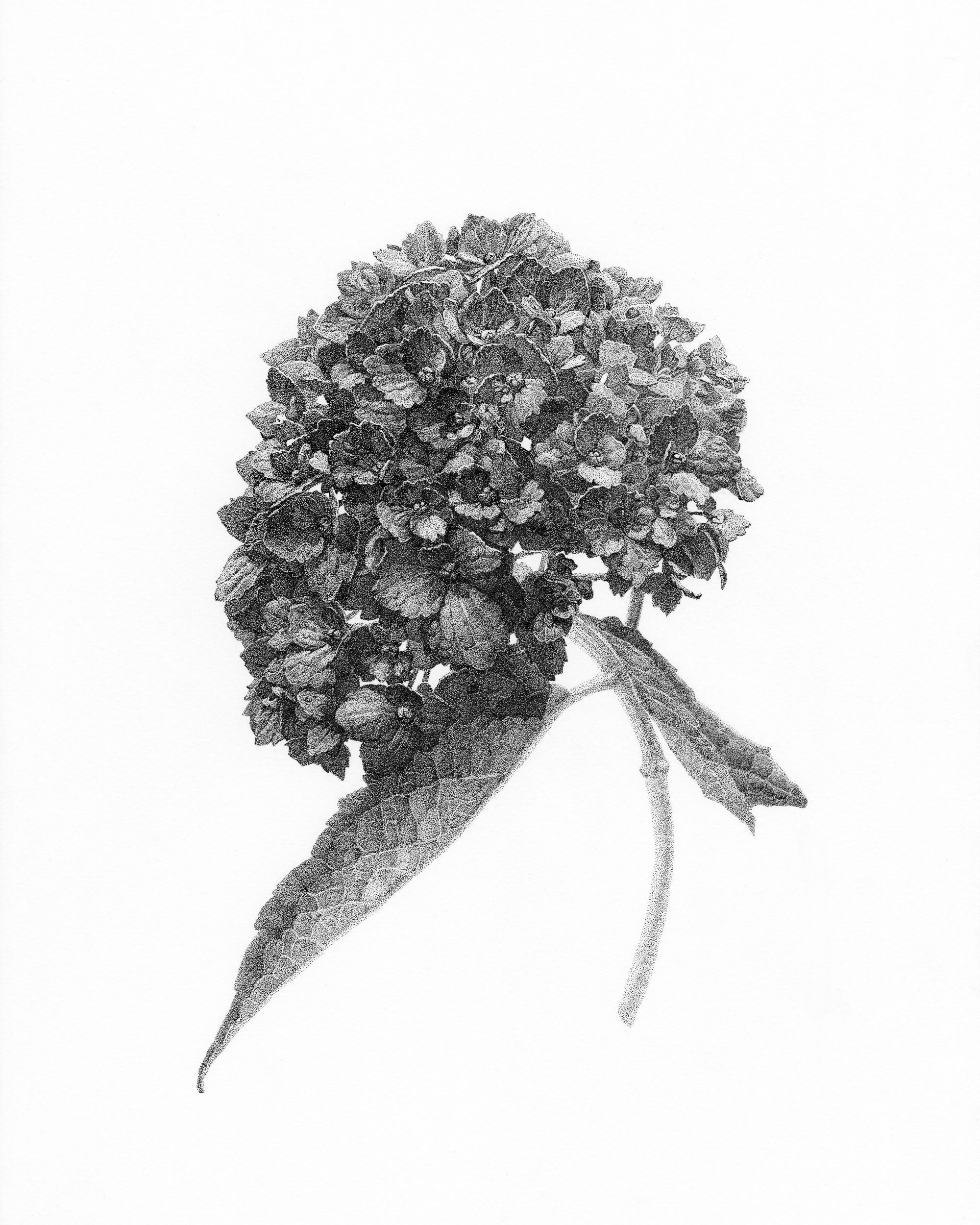 Nadezhda Polomoshnova, fine artist in Charleston