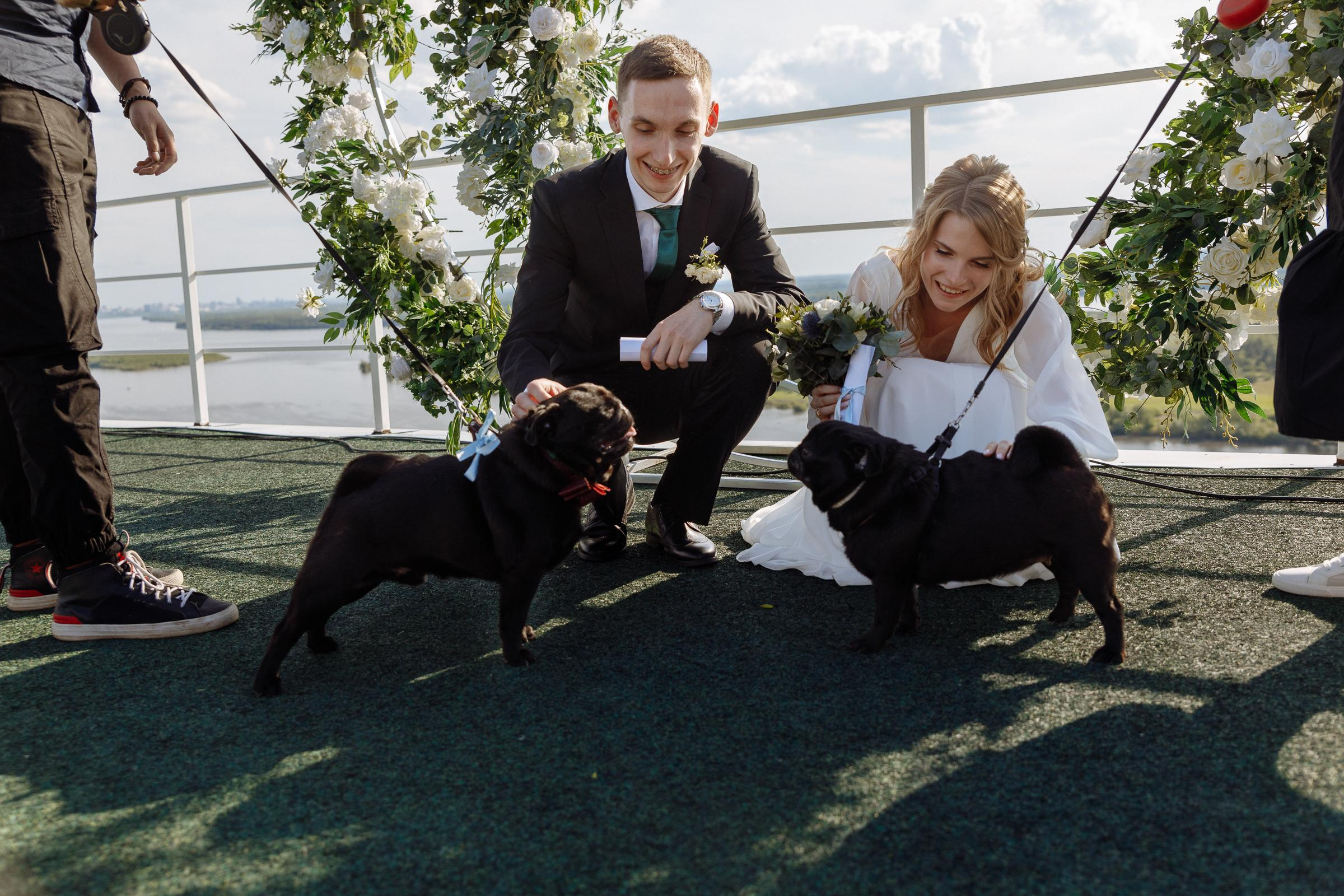 Свадьба Гали и Вовы. Свадебный фотограф в Самаре и Тольятти Полина Никитина