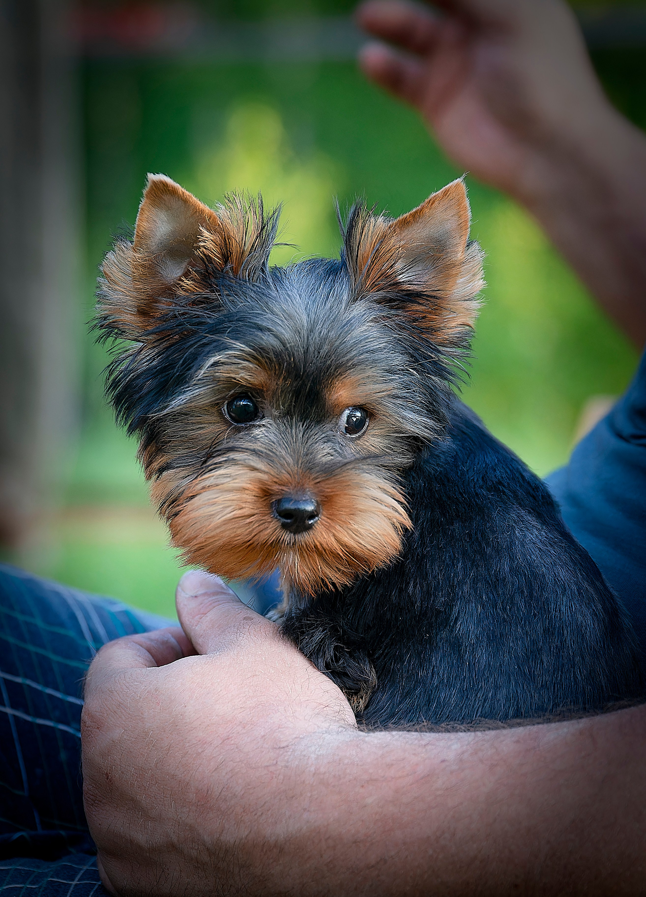 Тофик. Лев Постнов.Фотограф. Нижний Новгород