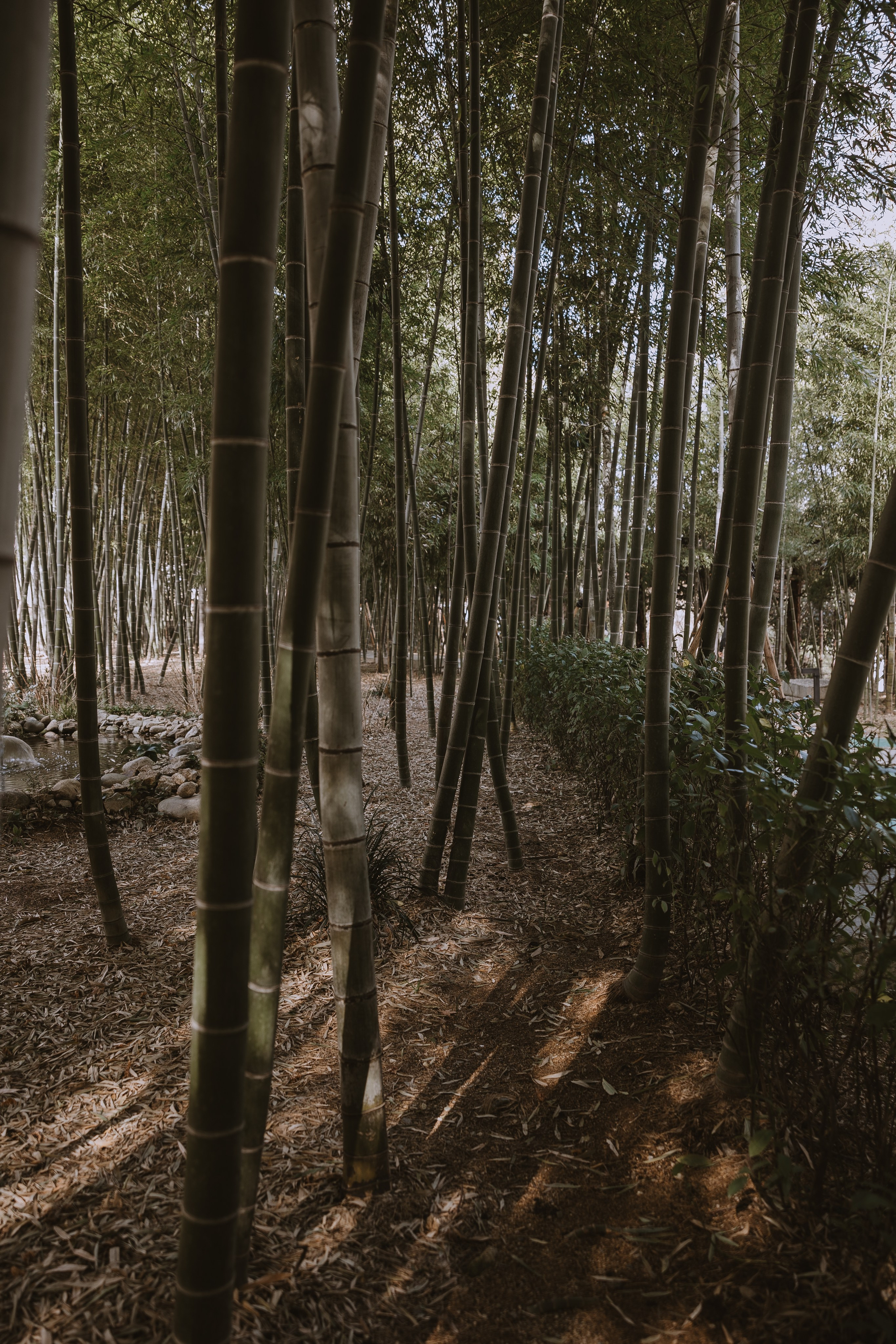 Walking photo session in Busan. Your photographer in Busan (South Korea) Aleksandra Anufriy