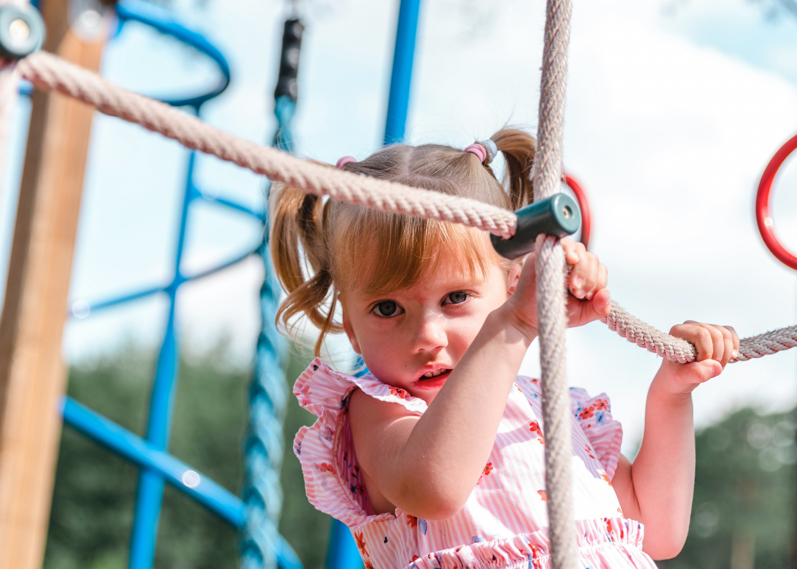 Доброе Сердце АиФ. Предметный и репортажный фотограф в Москве