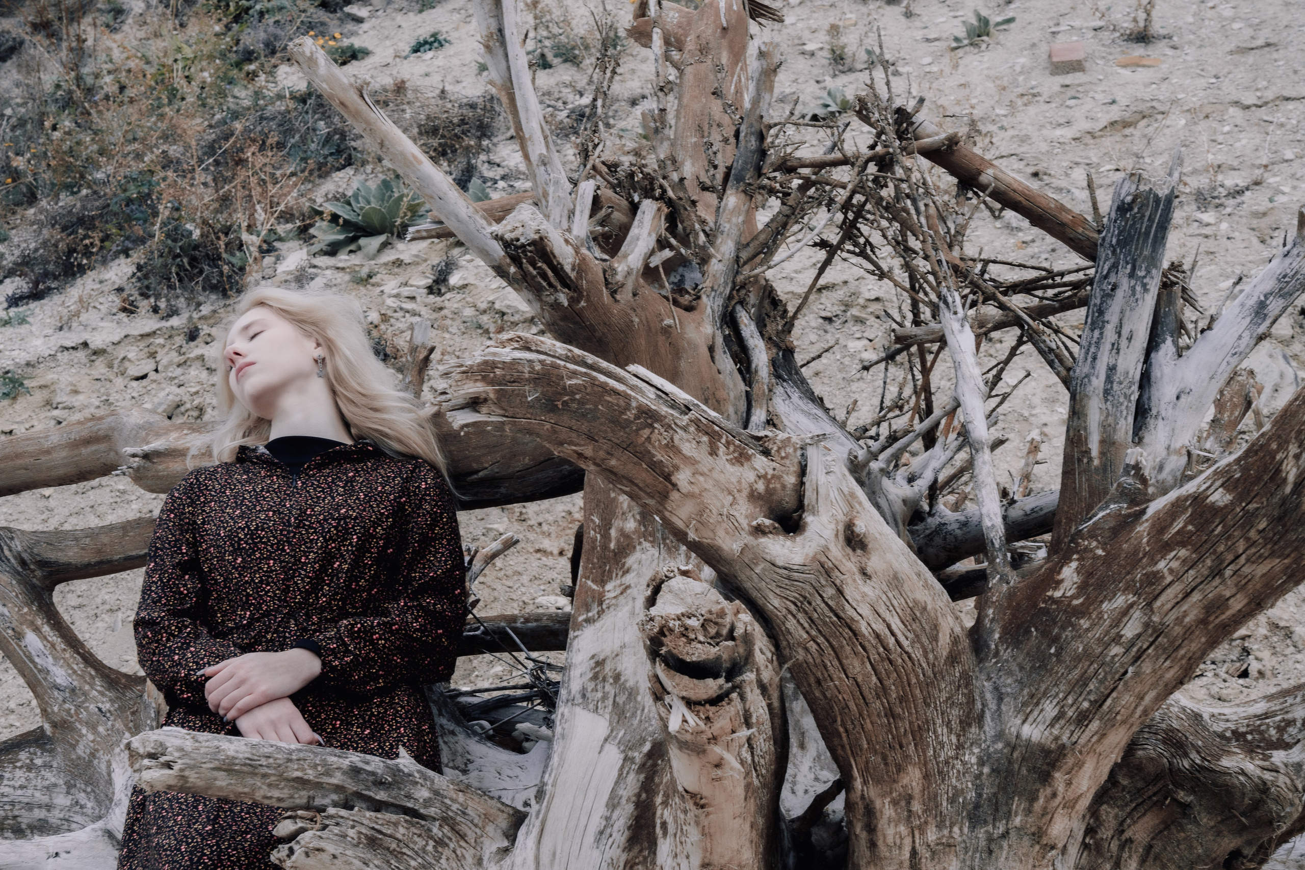 Фотосессия в корягах, фото в корнях, Фотосессия на берегу реки