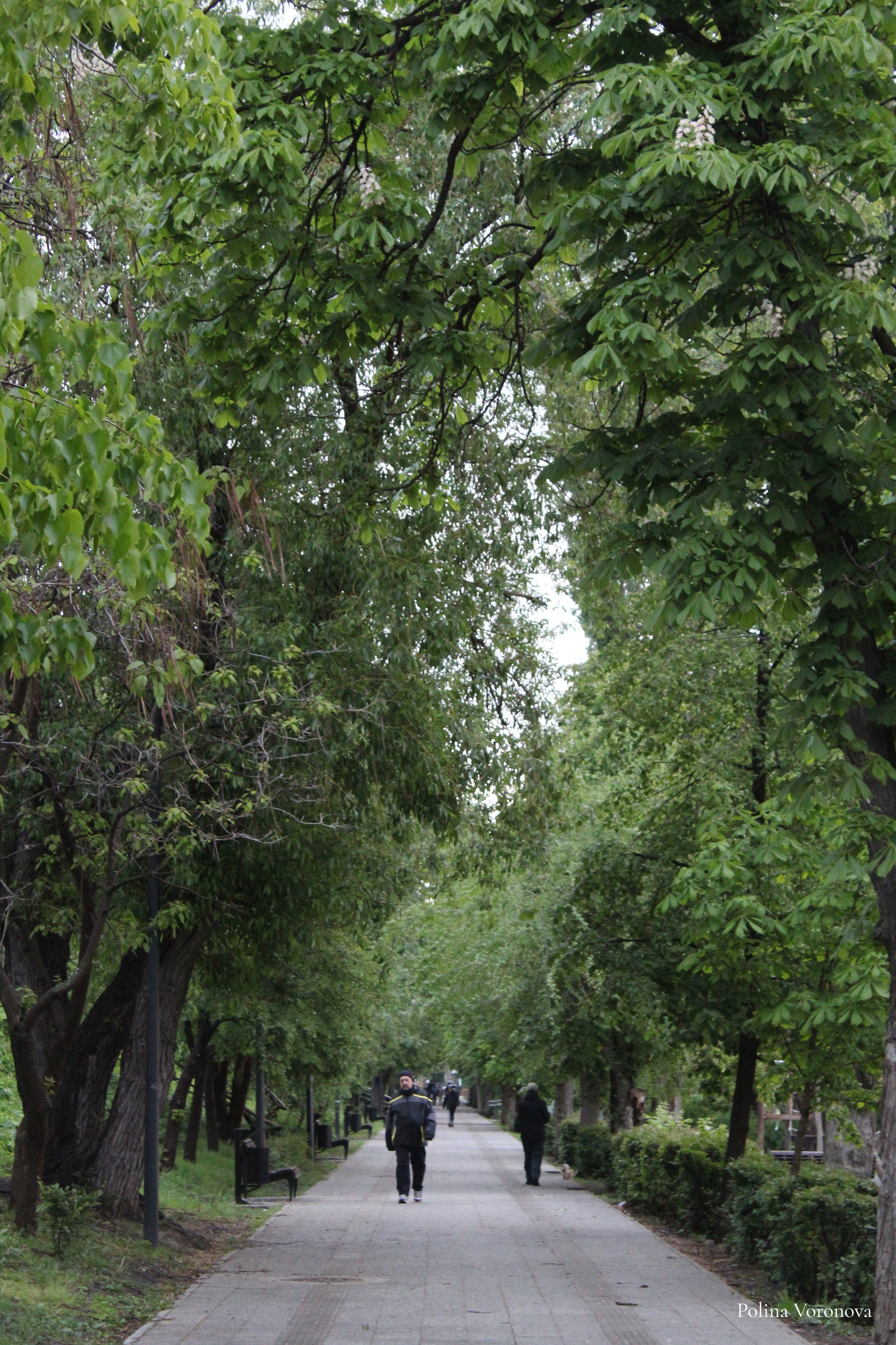 Саратов — город в упадке. Хорошая экспедиция