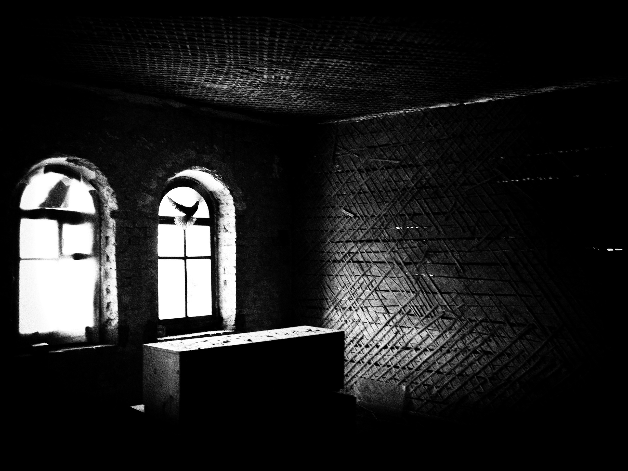 Фото и видеосъемка любых мероприятий в городе Краснодаре и Краснодарском крае. Щеколдин Антон