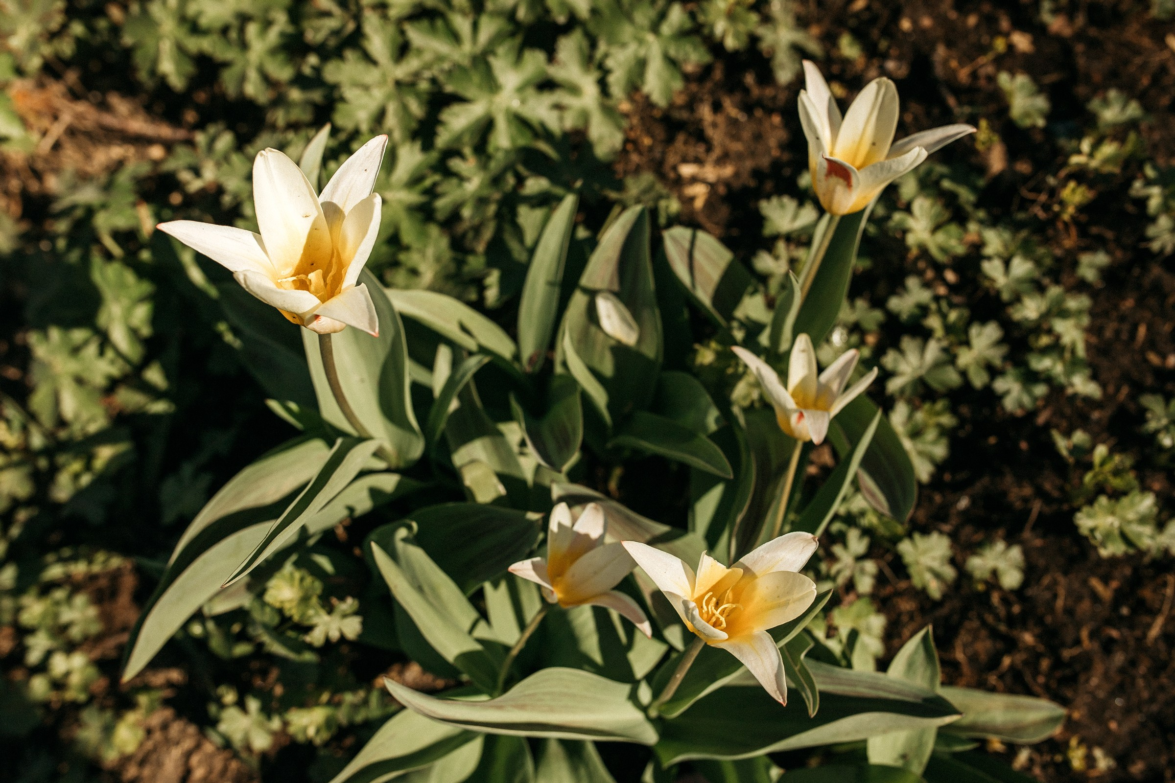 Городские локации в Питере