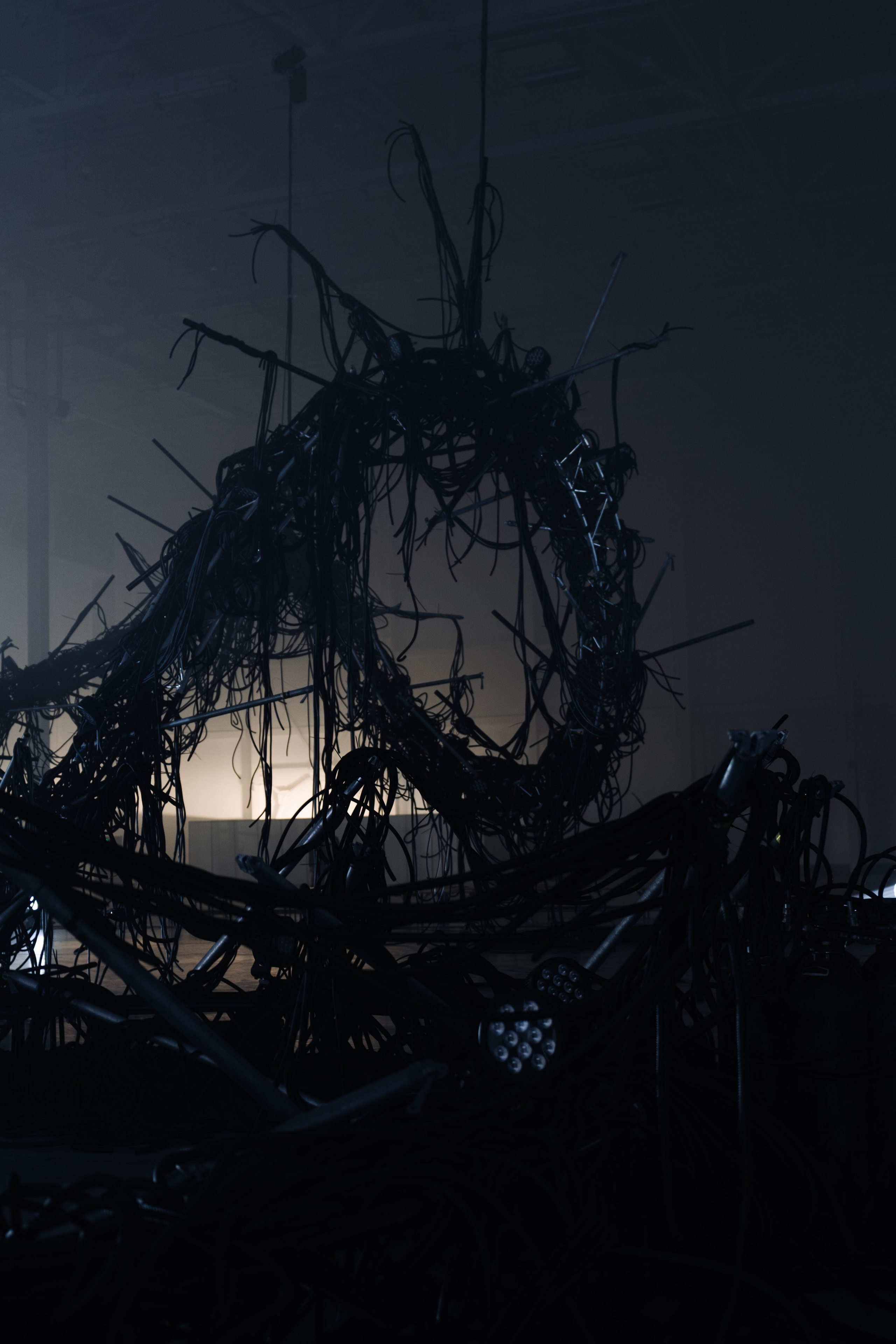 PANTERRA, CHRONOMORPH 001. @tomrus: Рустам Шагиморданов — фотограф