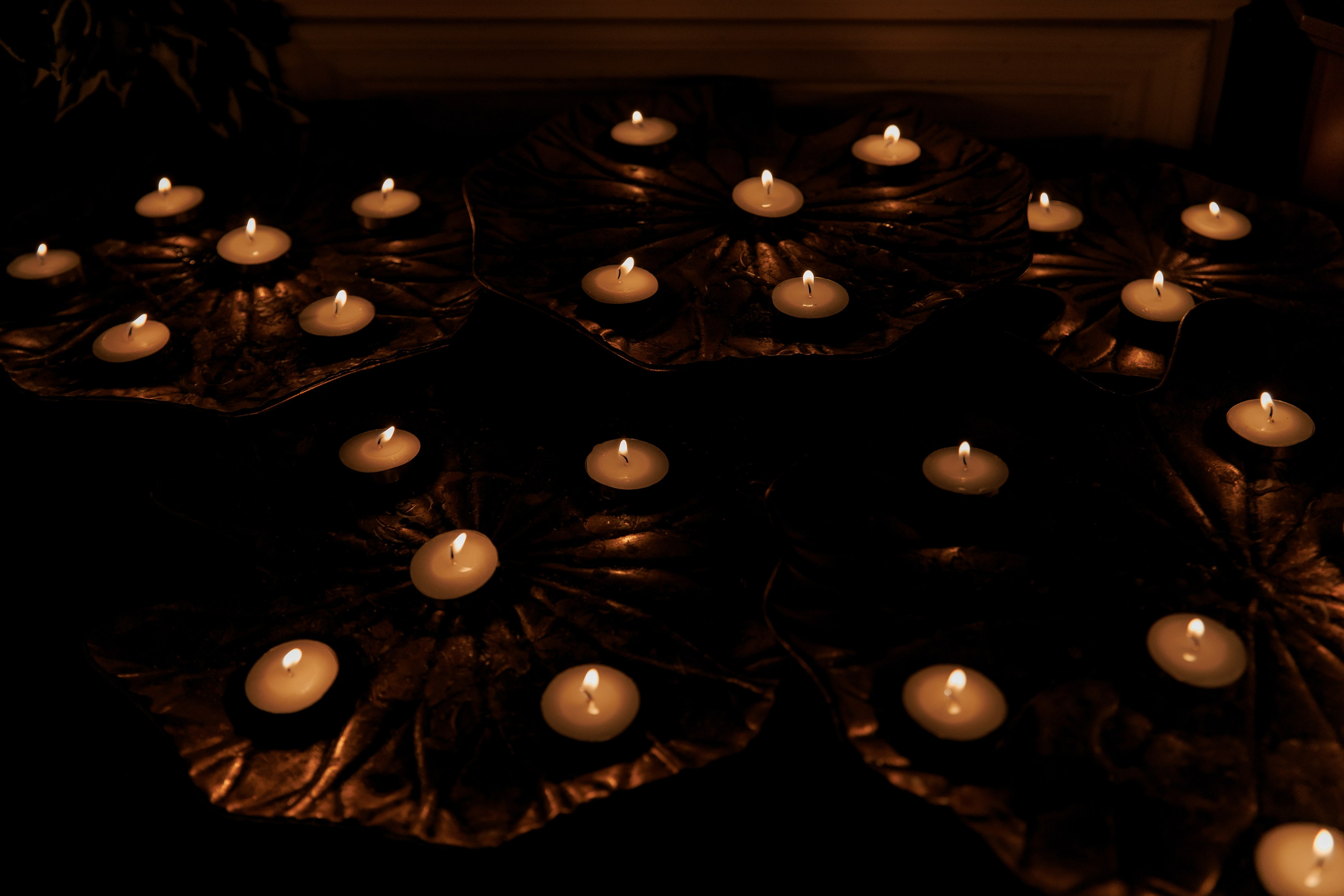 Антон и Света 2024. Свадебный фотограф в Москве, Ярославле Виталий Квант