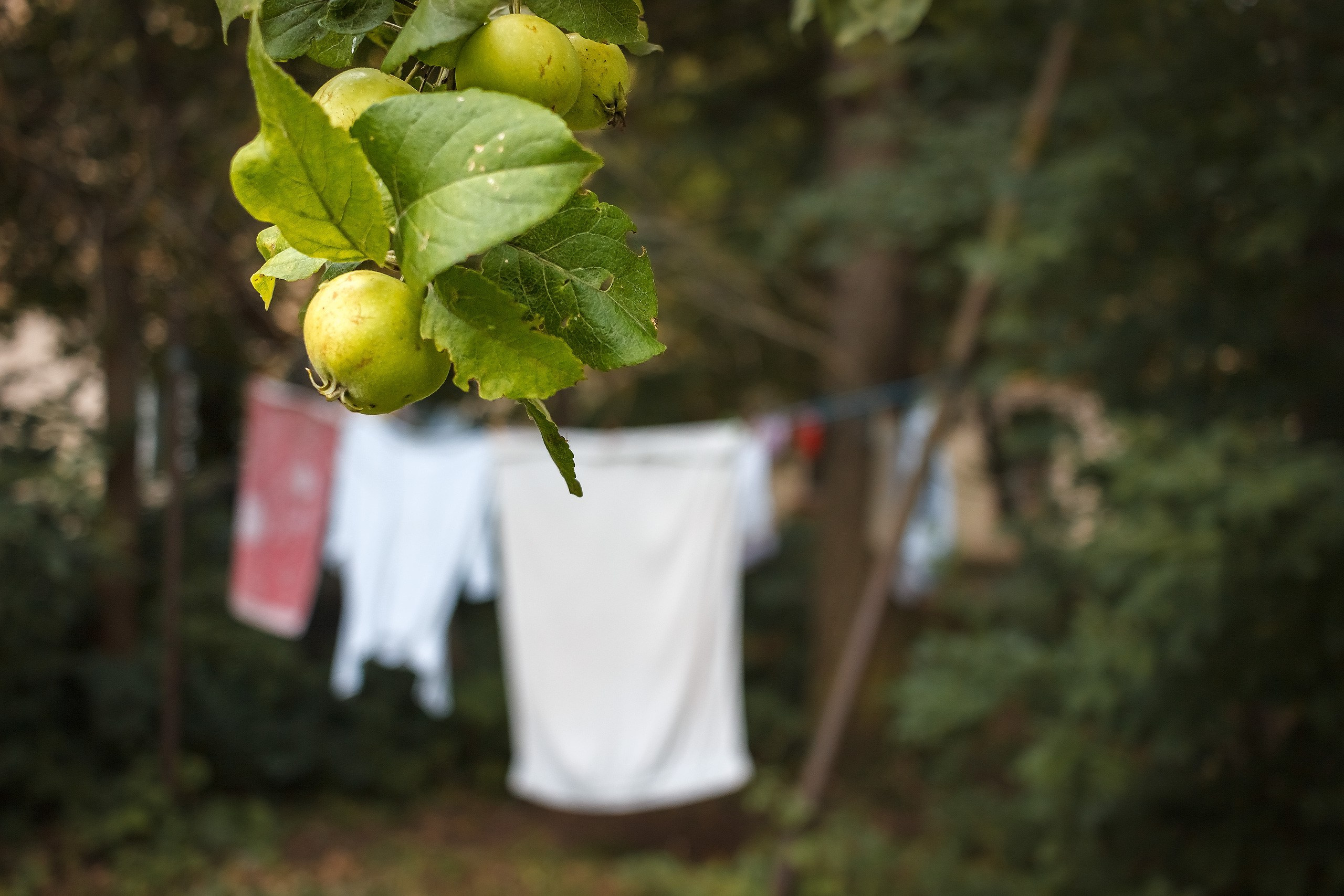 Быть или казаться. Аmat Victoria Сuram