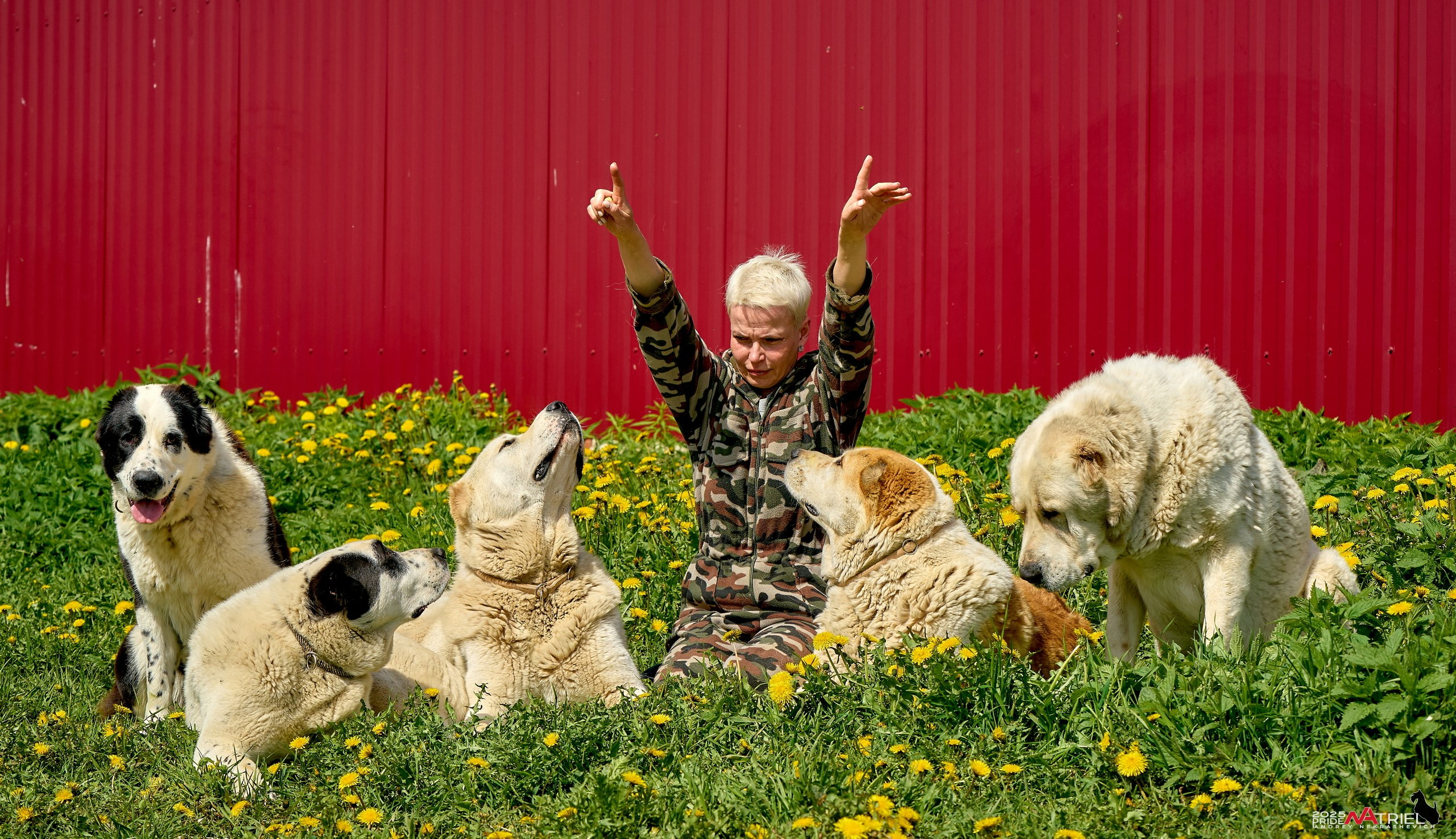 Съемка в питомнике