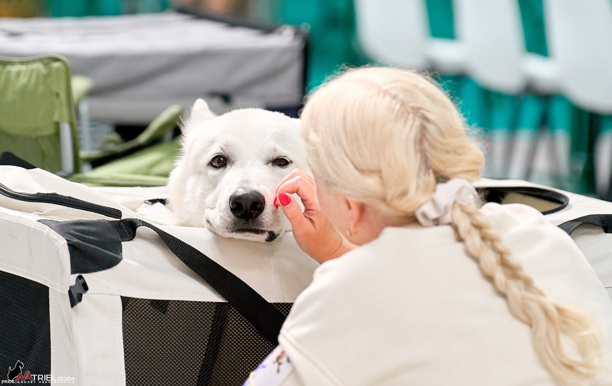 Съемка на выставке в Крокус
