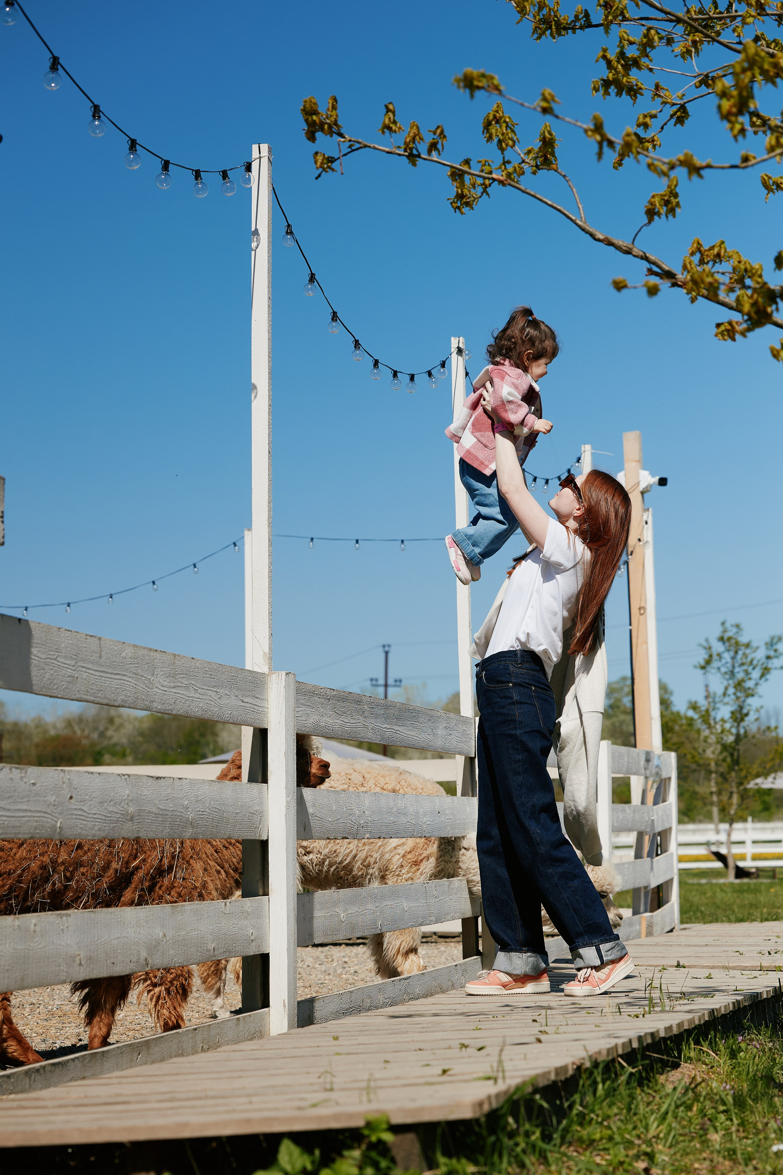 PRIVATE Weekend на Ферме Альпак 19.04. Свадебный репортажный фотограф краснодар максим дремов дрёмов фотосессия студия цена