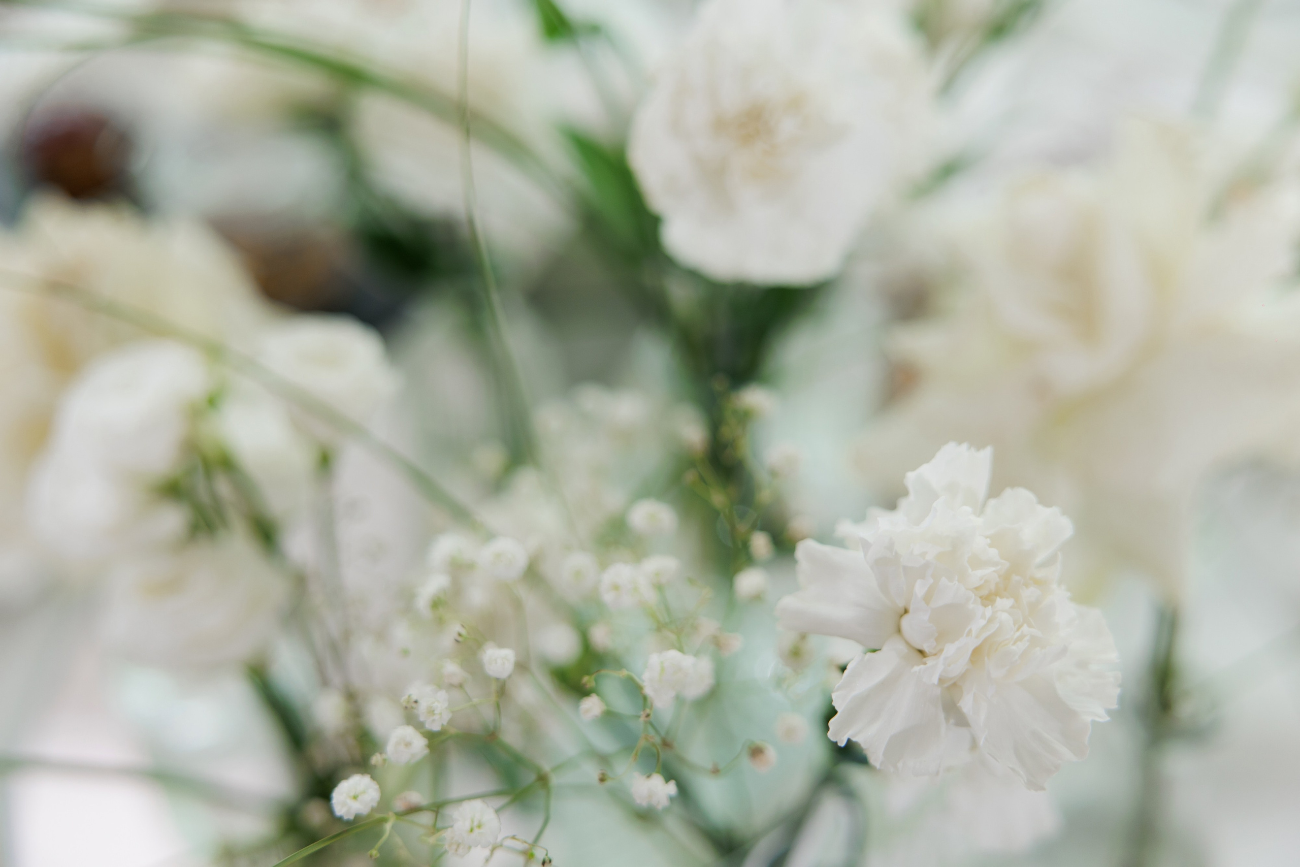 Полина и Даниил. Свадебный фотограф Минск РБ