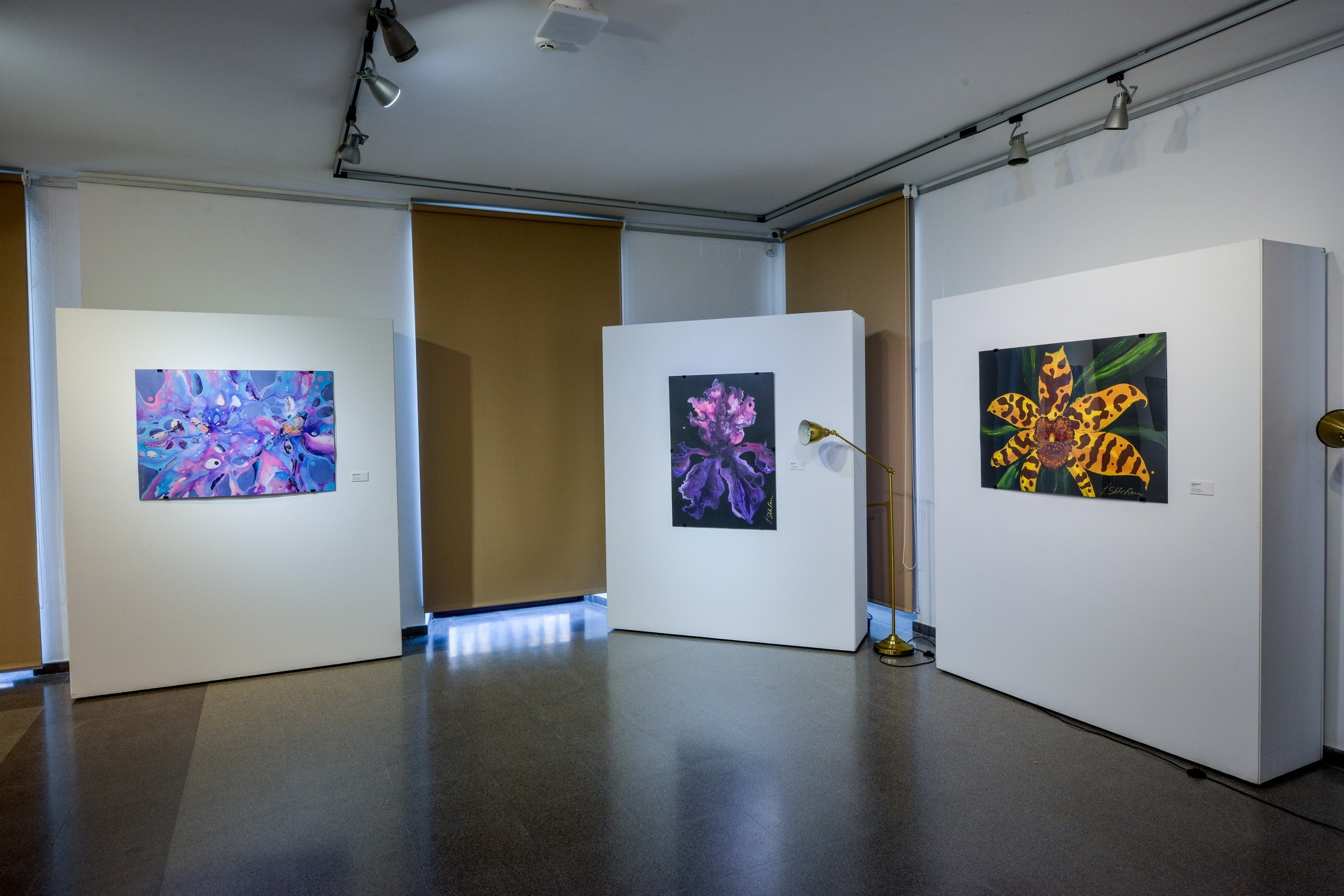 Abstract Art Exhibition. Photographer Aleksandr Rybintsev