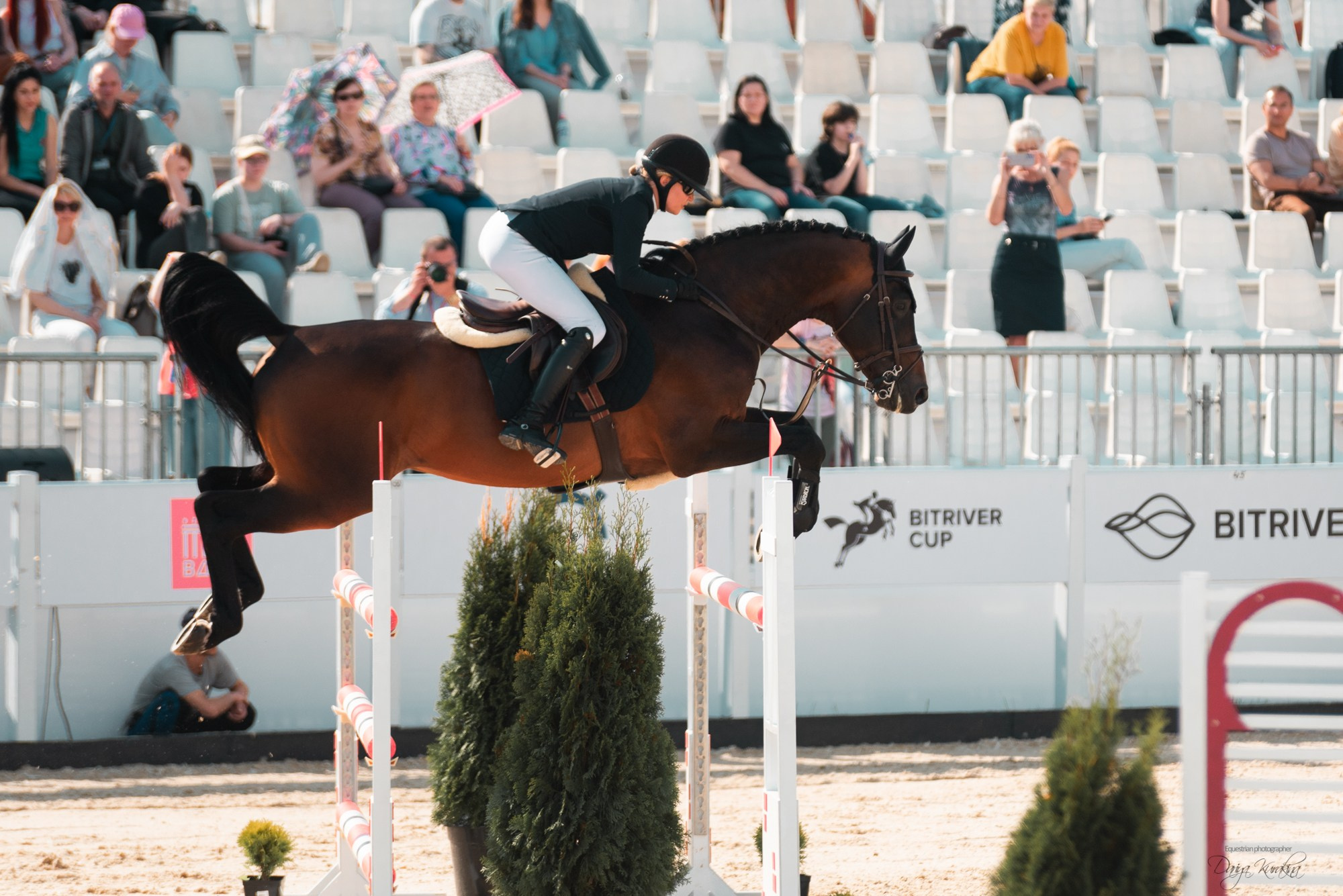 BITRIVER CUP 2023. Конный фотограф Куракина Дарья • Фотосессии с лошадьми