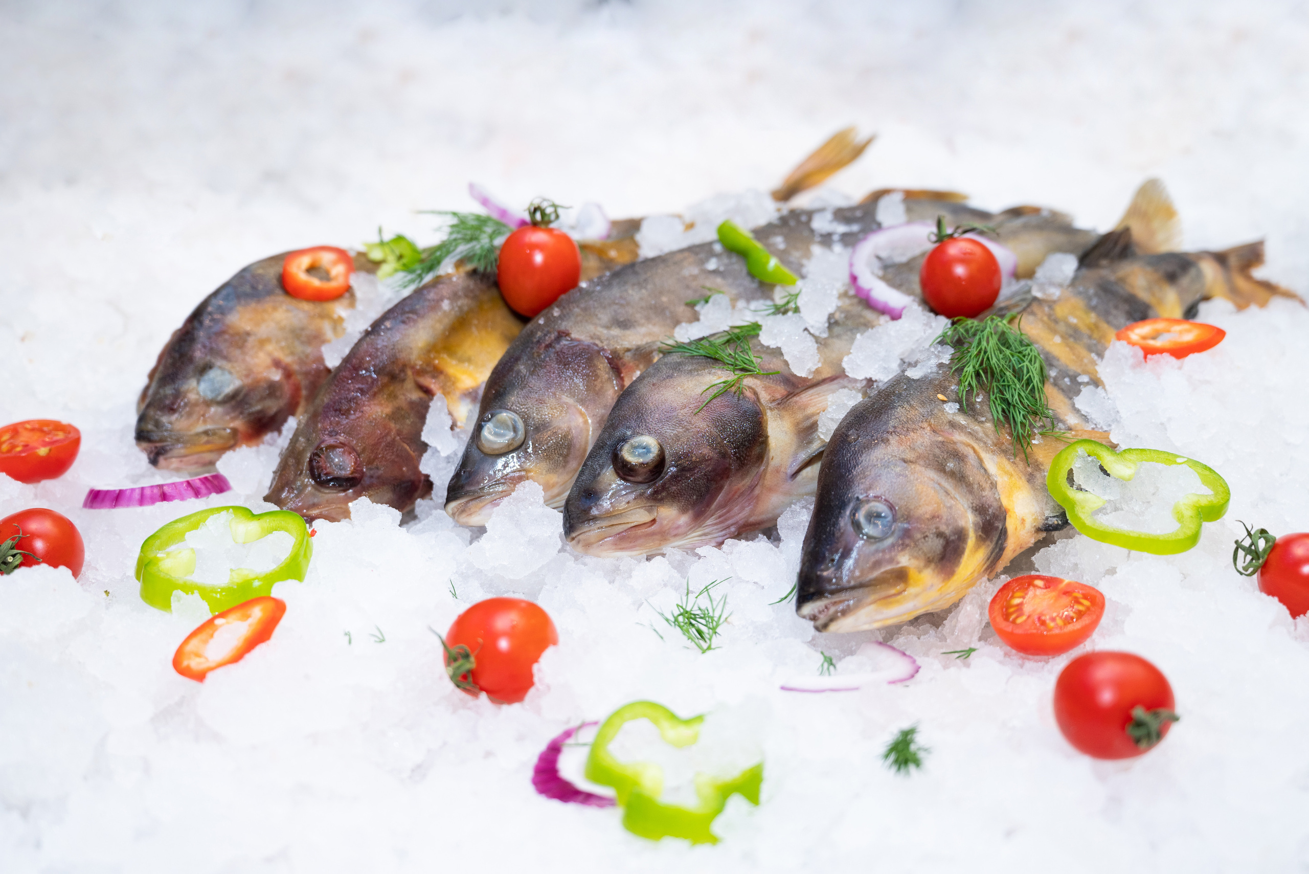 Морепродукты. Свадебный и семейный фотограф Юлия Чернобай | Подольск, Москва, Московская область