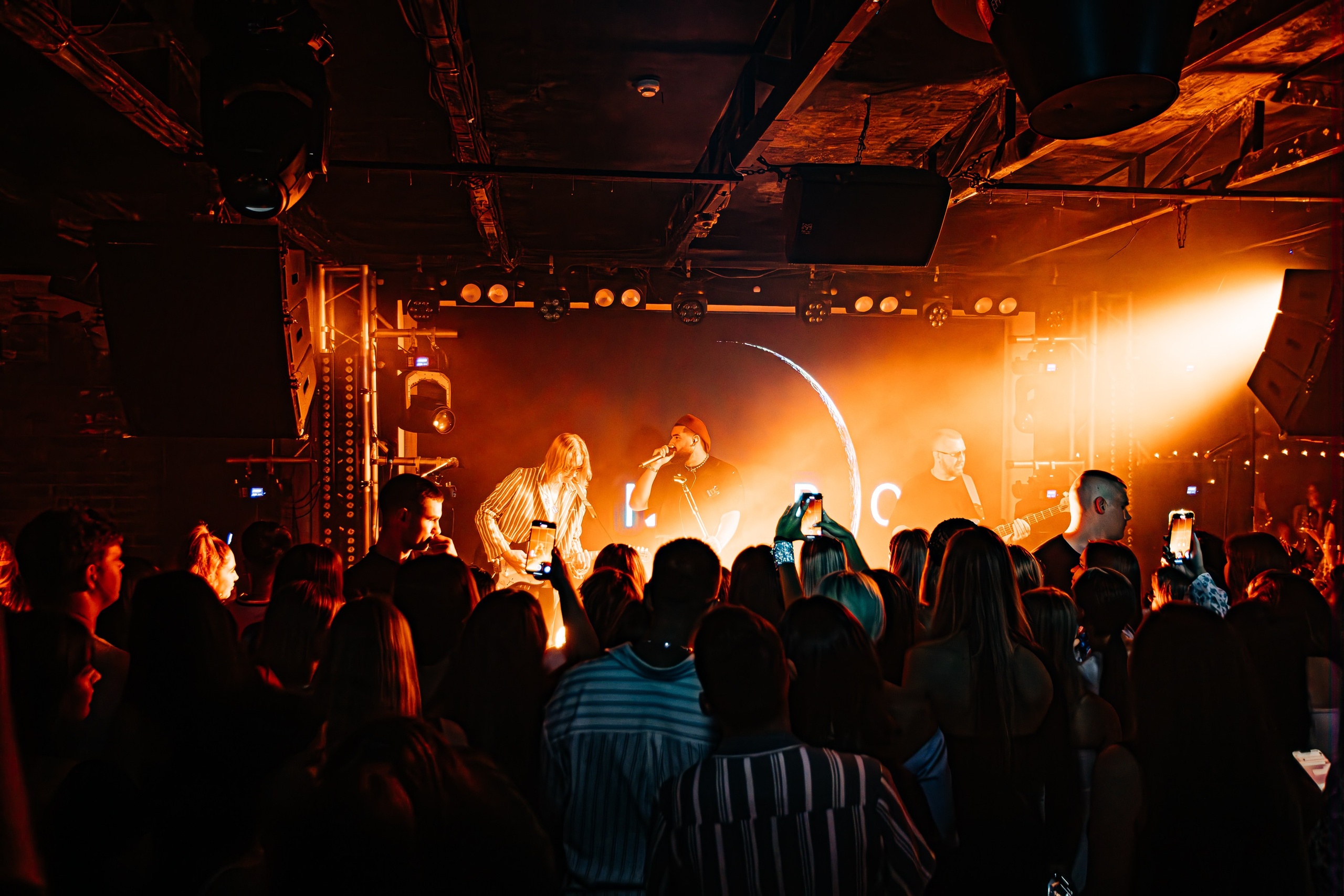 Чайка_на_пляже_Андро_Ялта_24.08.2024. Аминов Руслан | Фотограф