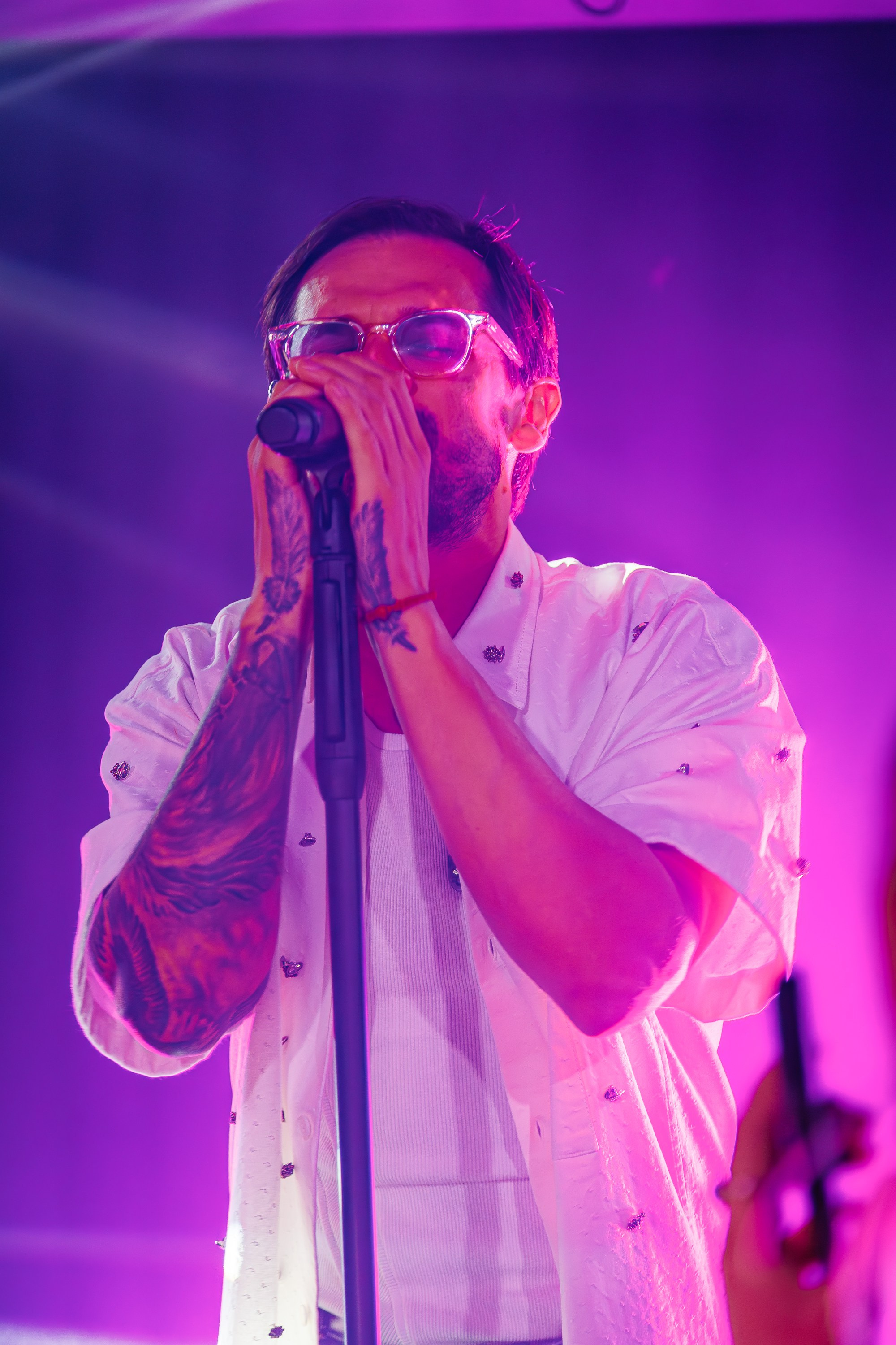 «МИША МАРВИН"_Чайка на пляже_Ялта_14.06.2025. Аминов Руслан | Фотограф