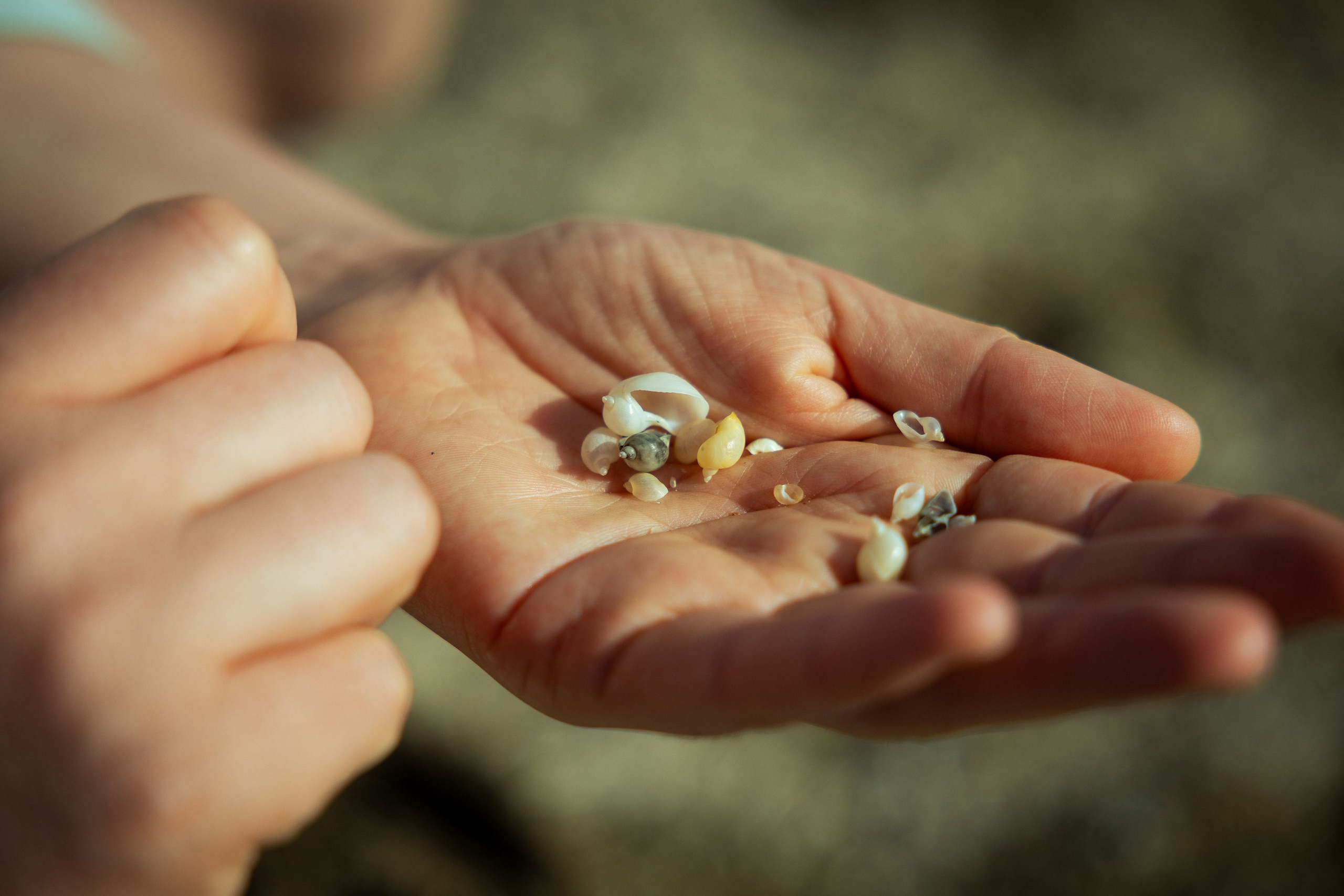 Кыргызстан (весна 2025). Фотограф Виноградов Константин