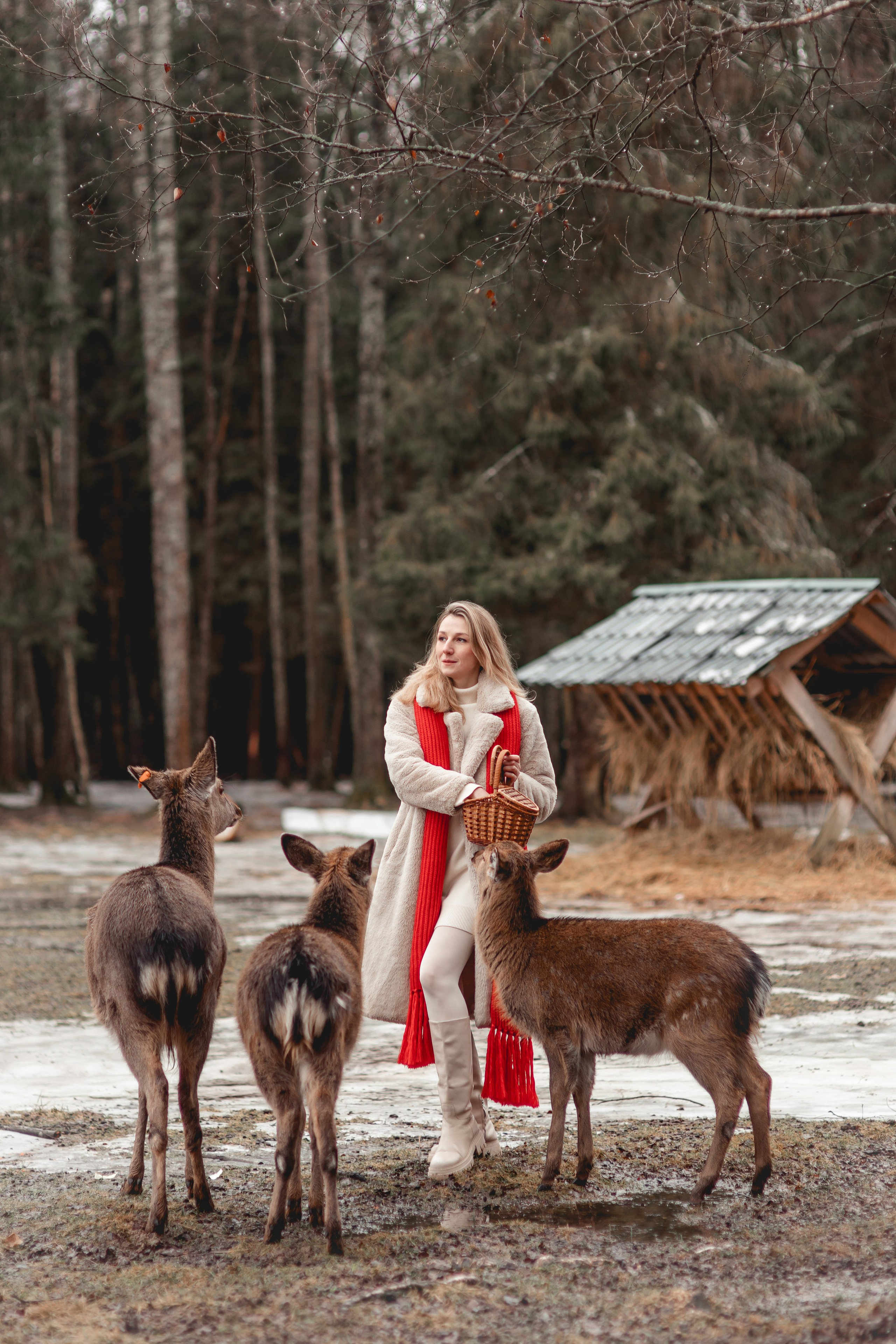 Фототур в Веретьево (даты проведения 14–15 февраля 2026 г.). Главная