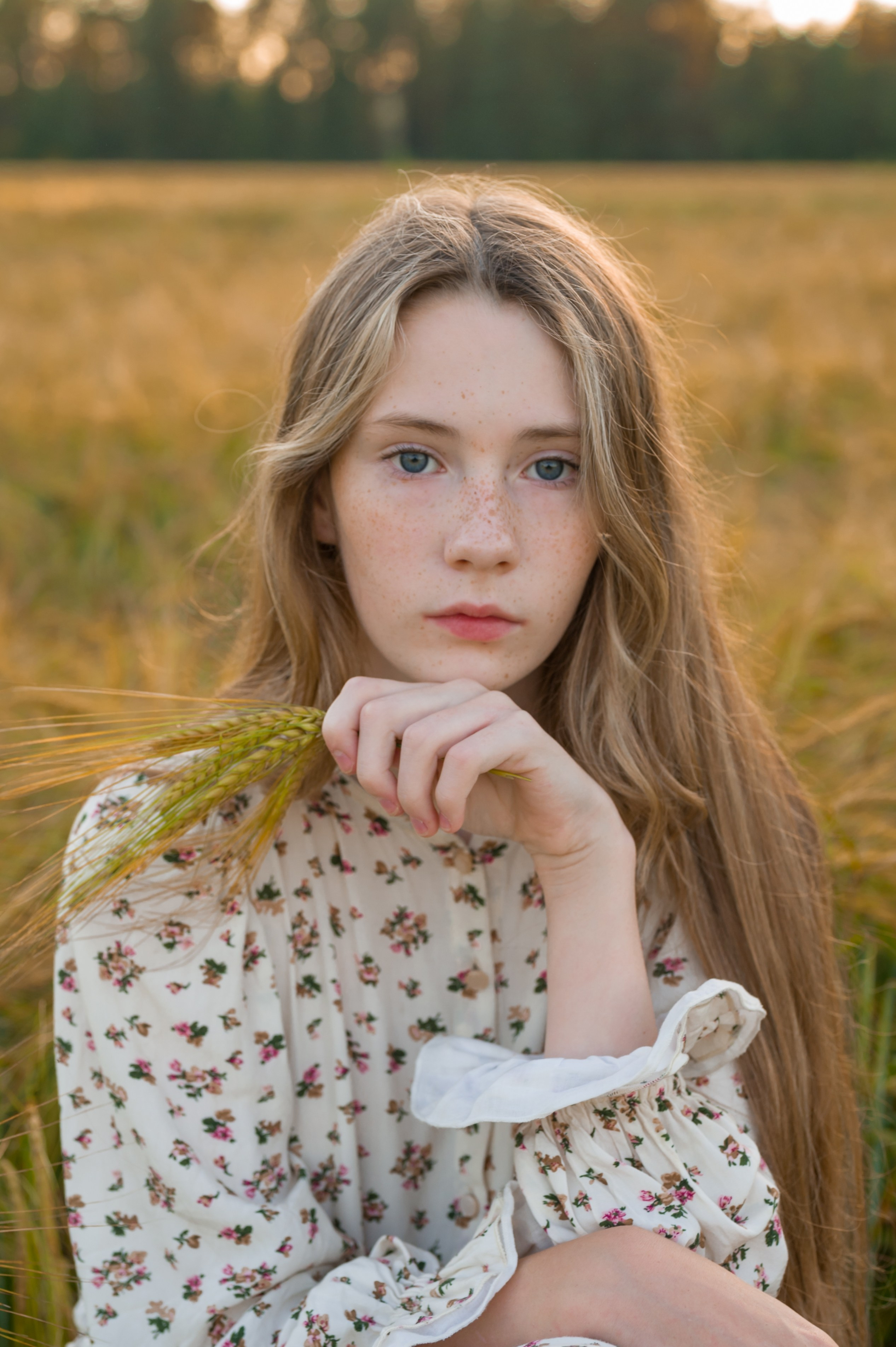 Фотосессия в поле (пшеница, рожь). Фотограф Юлия Кондратьева