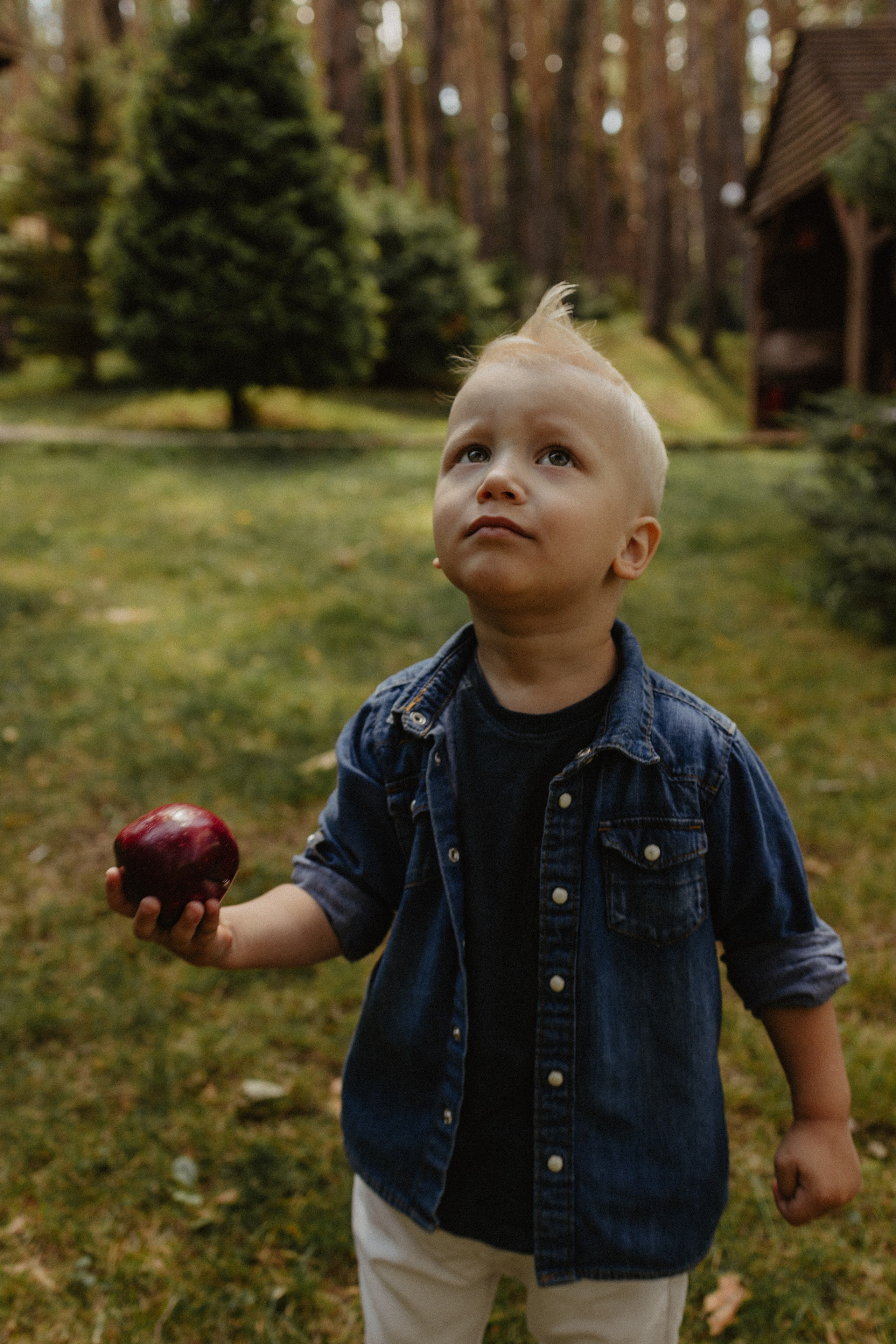 В Донском лесу. Семейный лайфстайл фотограф в г. Липецк