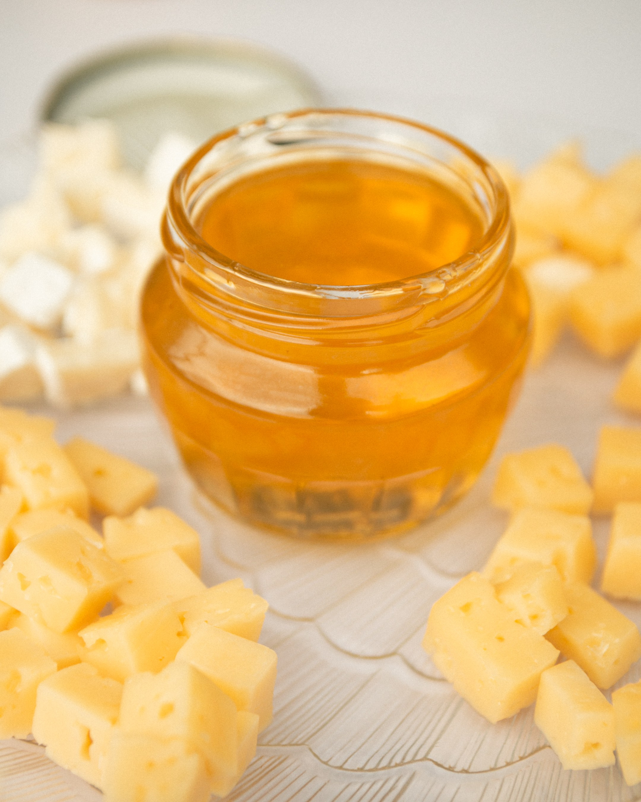 ЭкоФест 2024. Фотограф в Ярославле Никита Зайцев